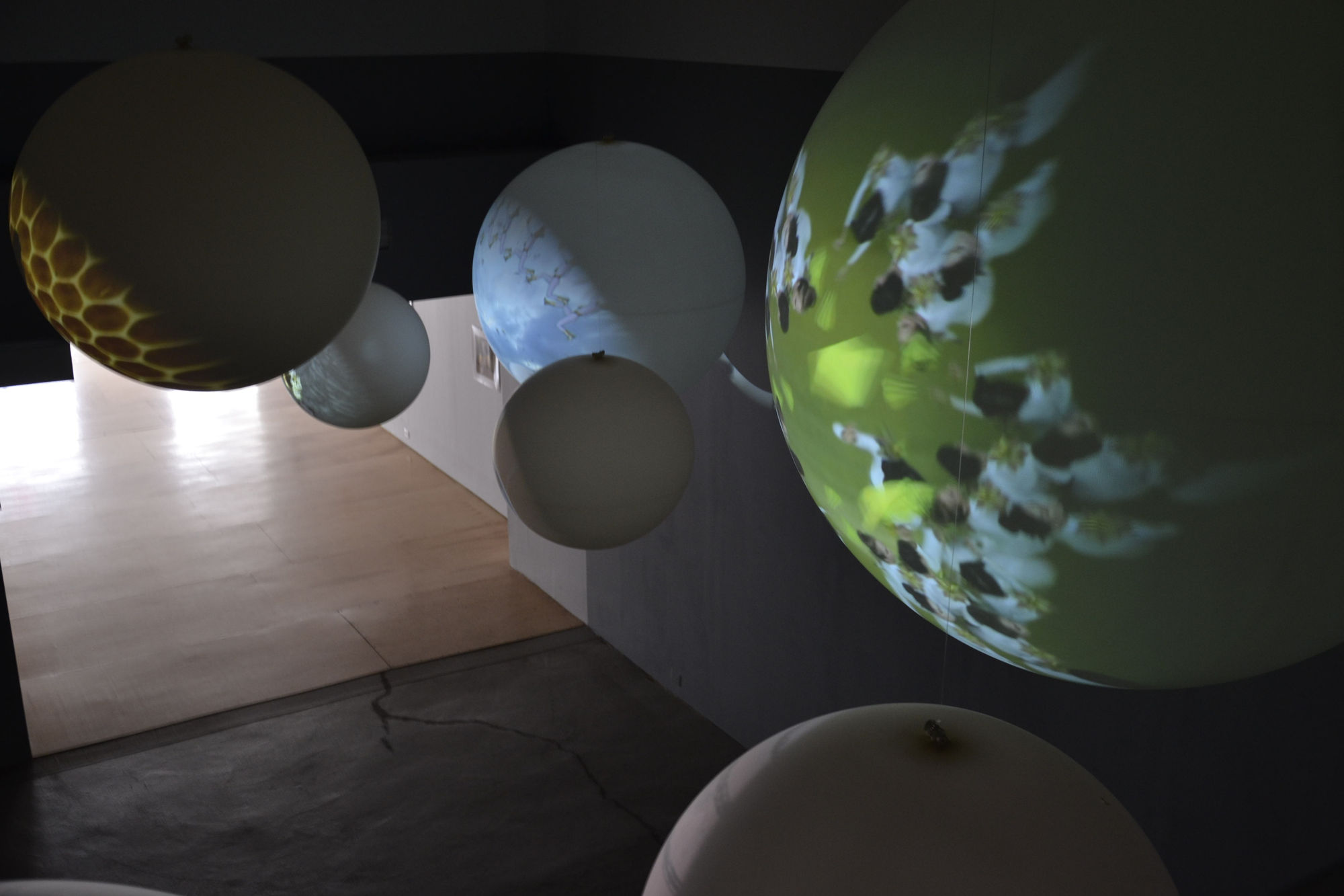 Other voices installation