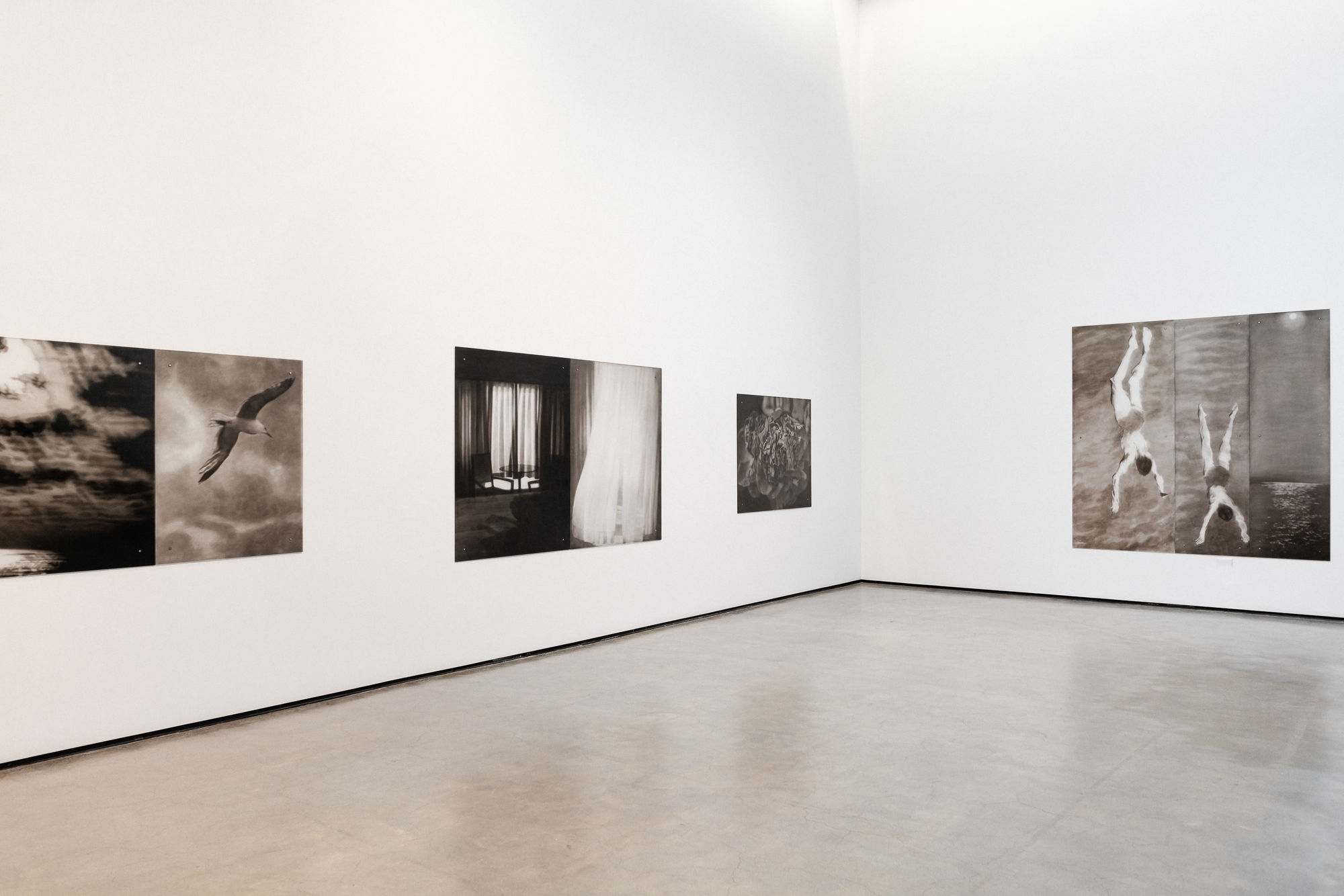 Presence Installation Image