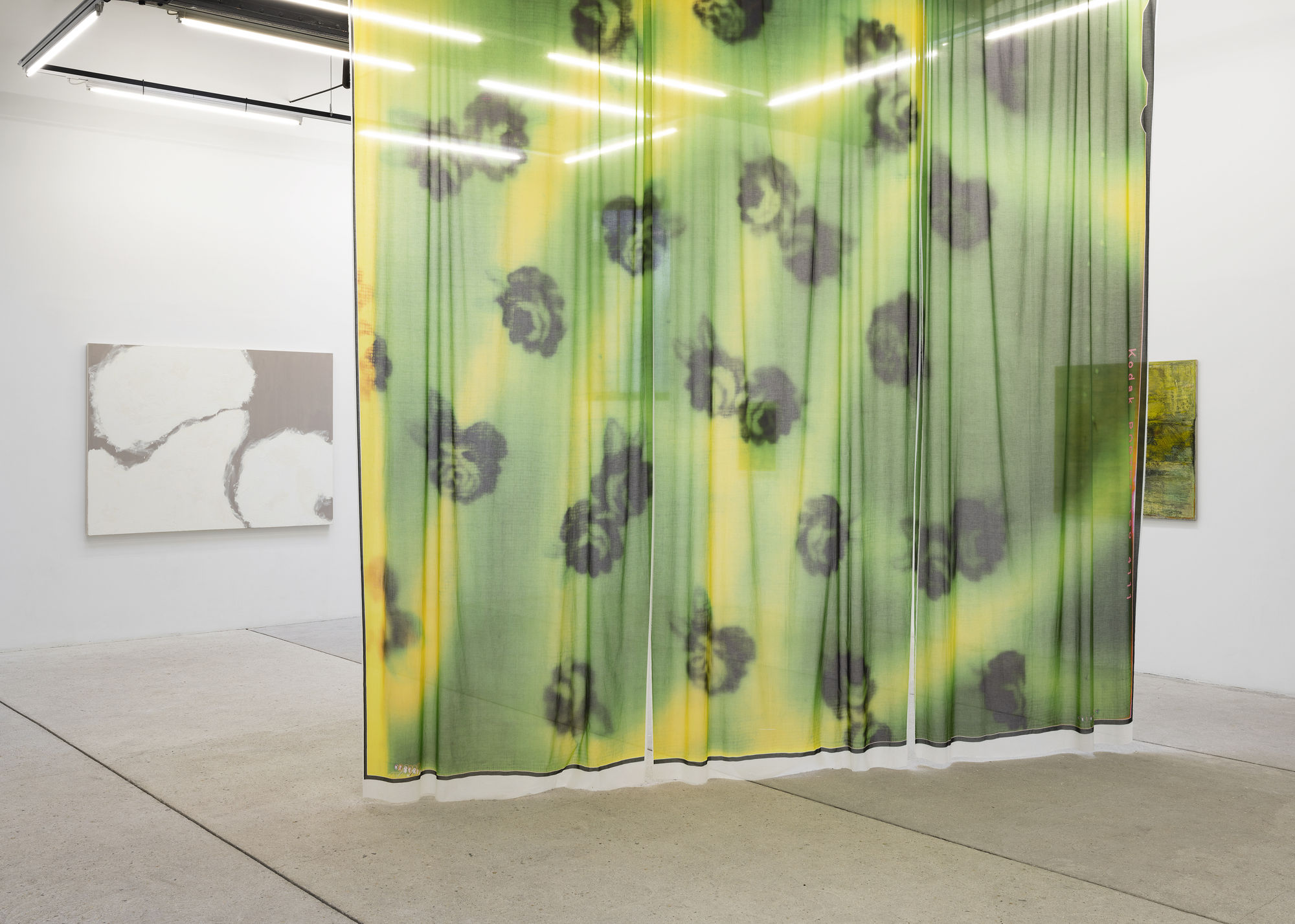 Host, curated by Lisa Offermann