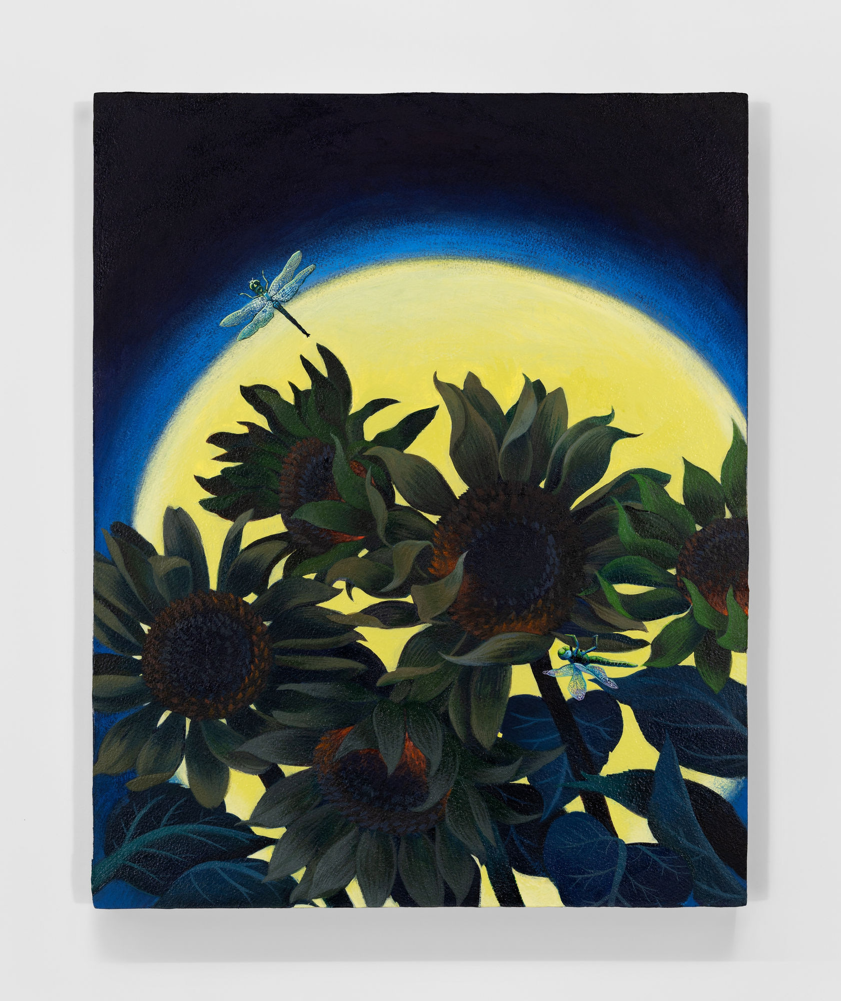 SALLY J. HAN, Where Do Dragonflies Sleep, 2025