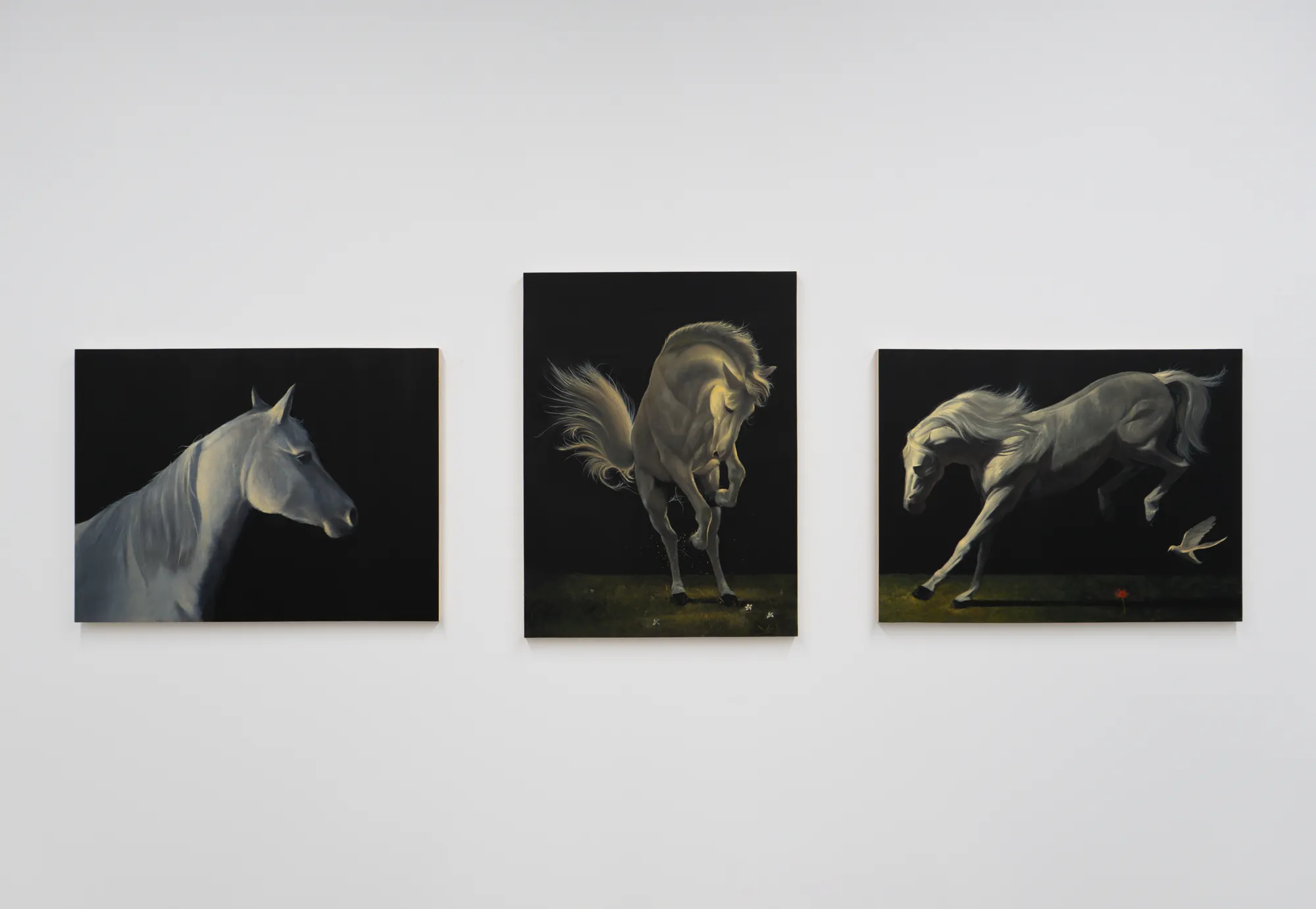 Caleb Hahne Quintana