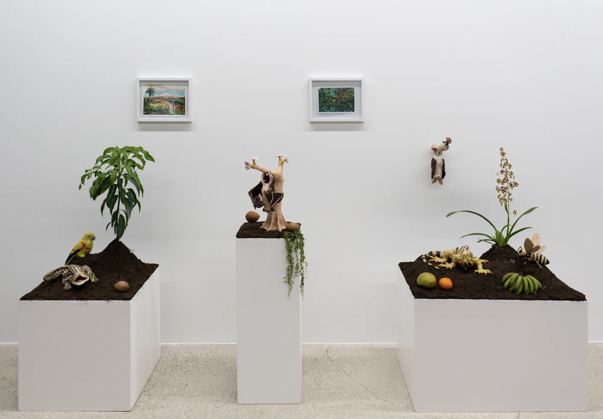 Ana María Velasco: A Still Life