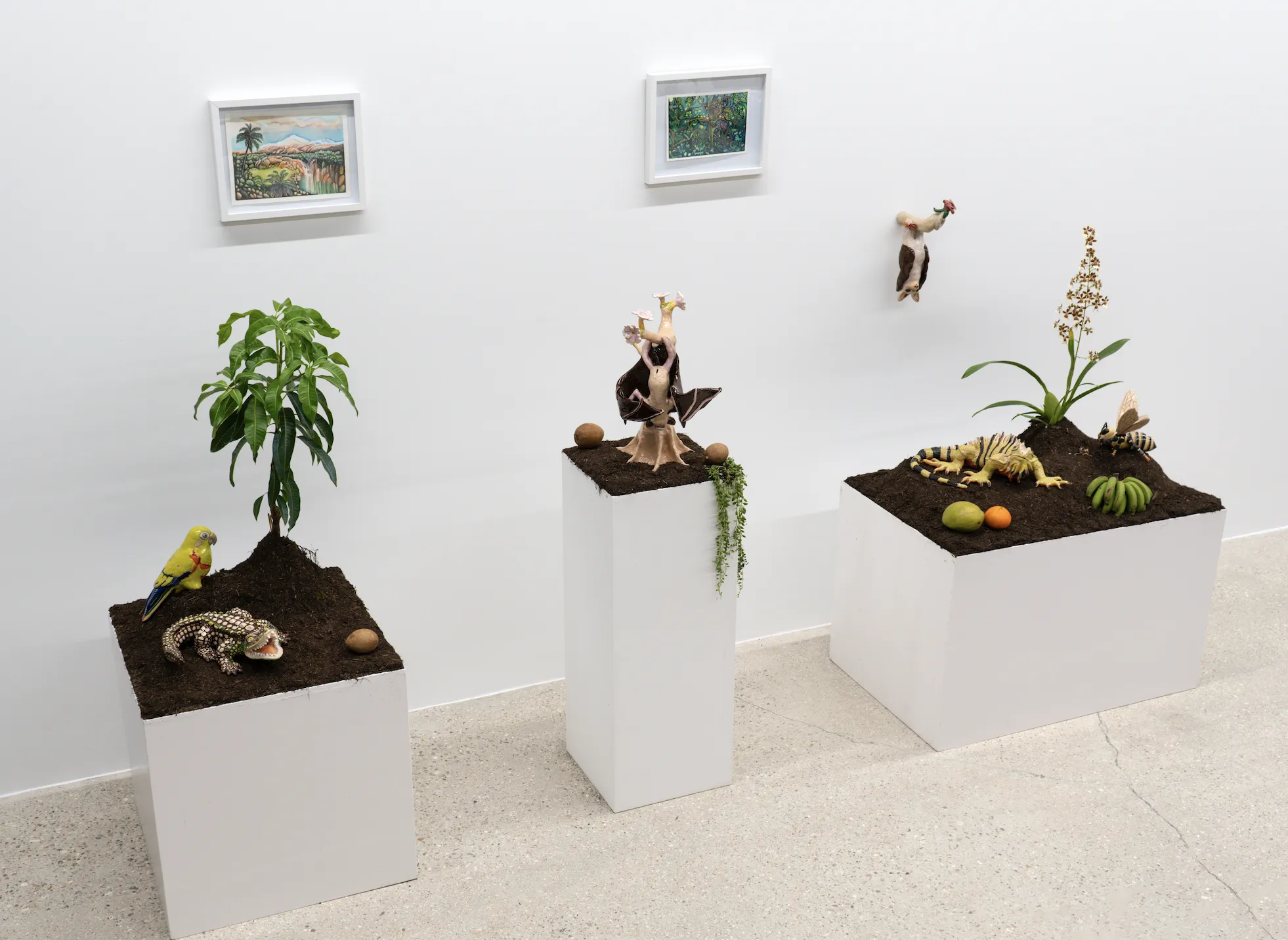 Ana María Velasco: A Still Life