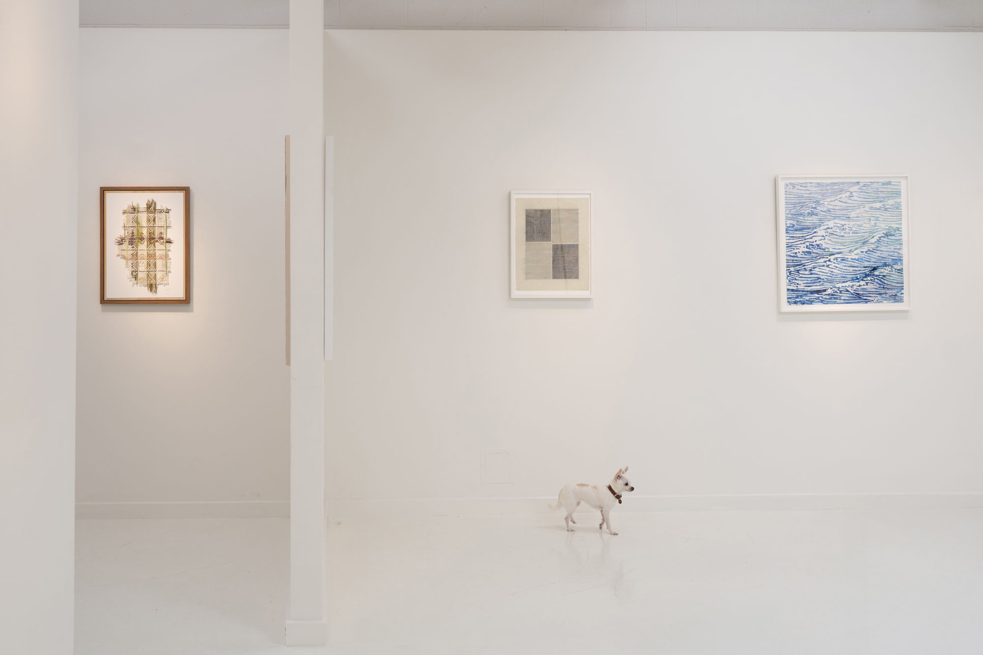 Position / Disposition