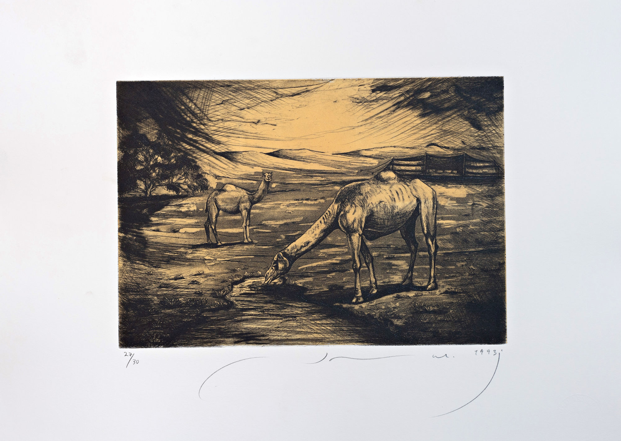 Jamal Abdul Rahim, Two Camels, 1993