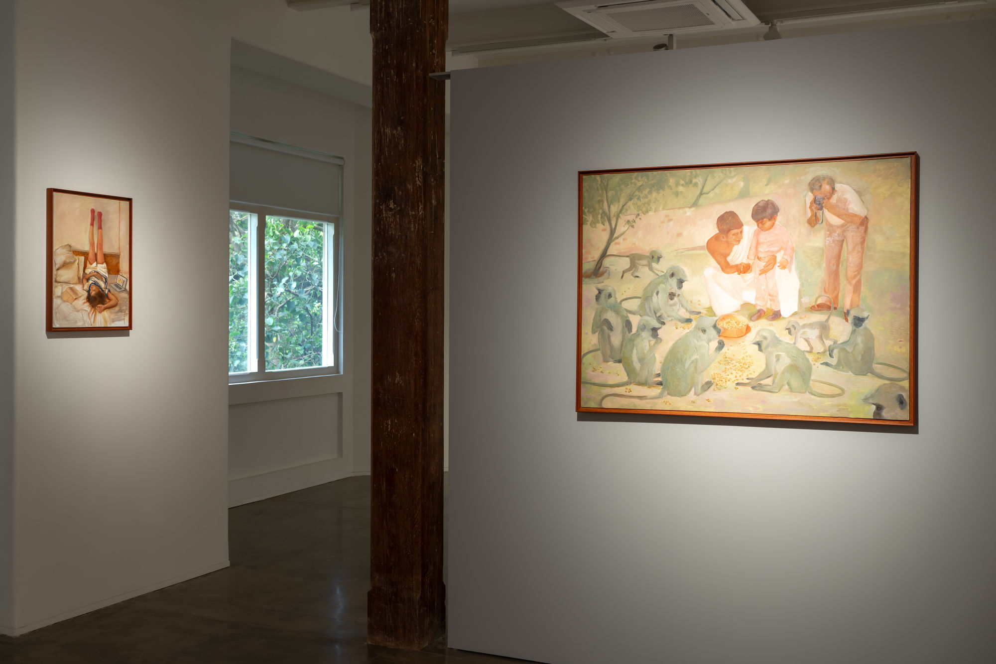 Where The Light Falls Gently