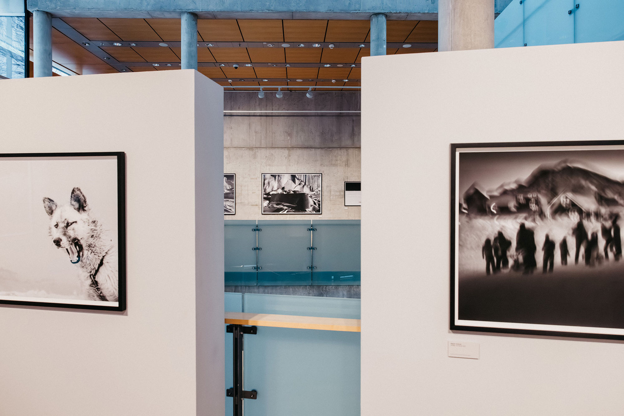 Arctic Heroes – Untold Stories