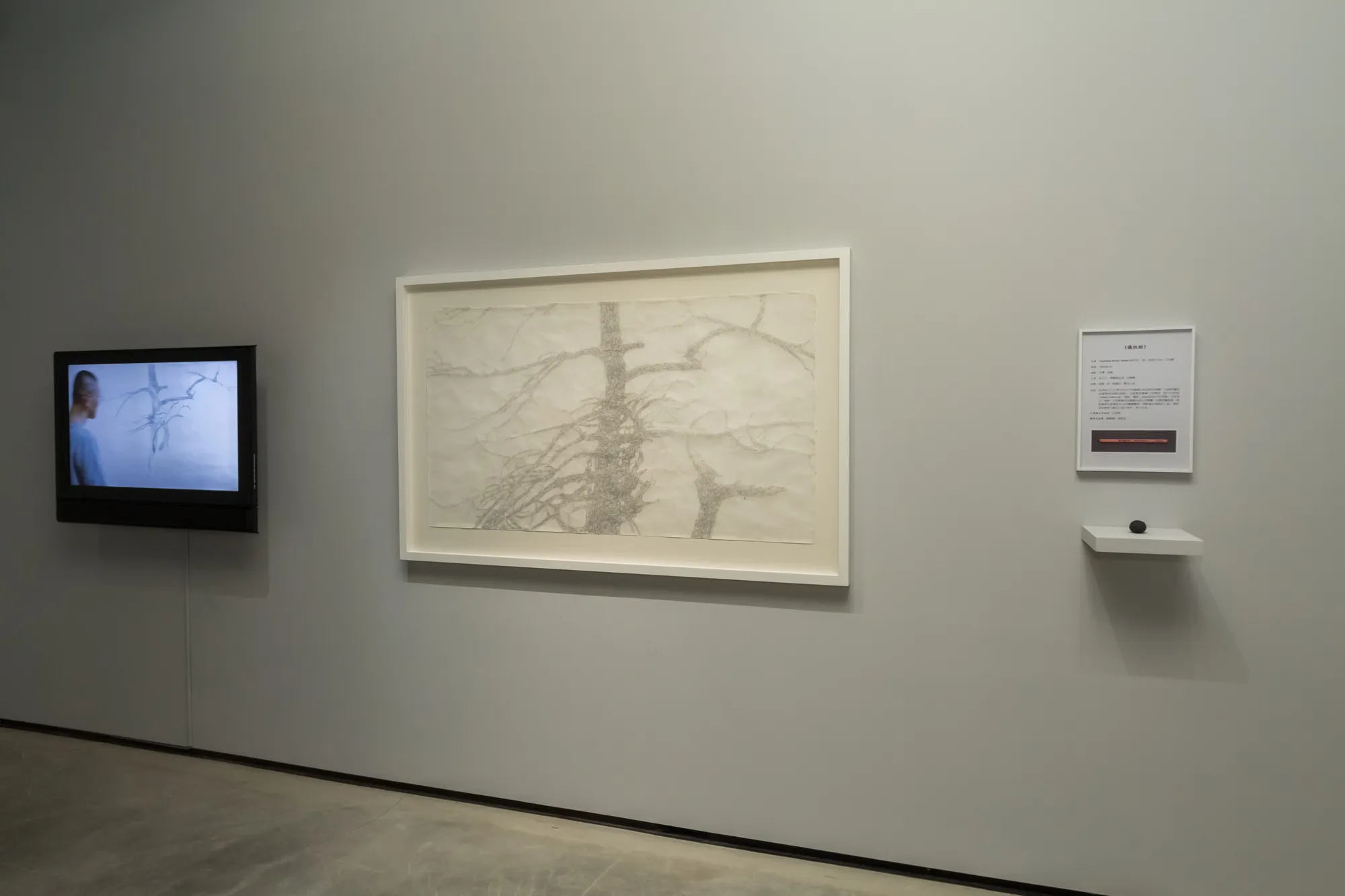 Two Trees and a Mountain