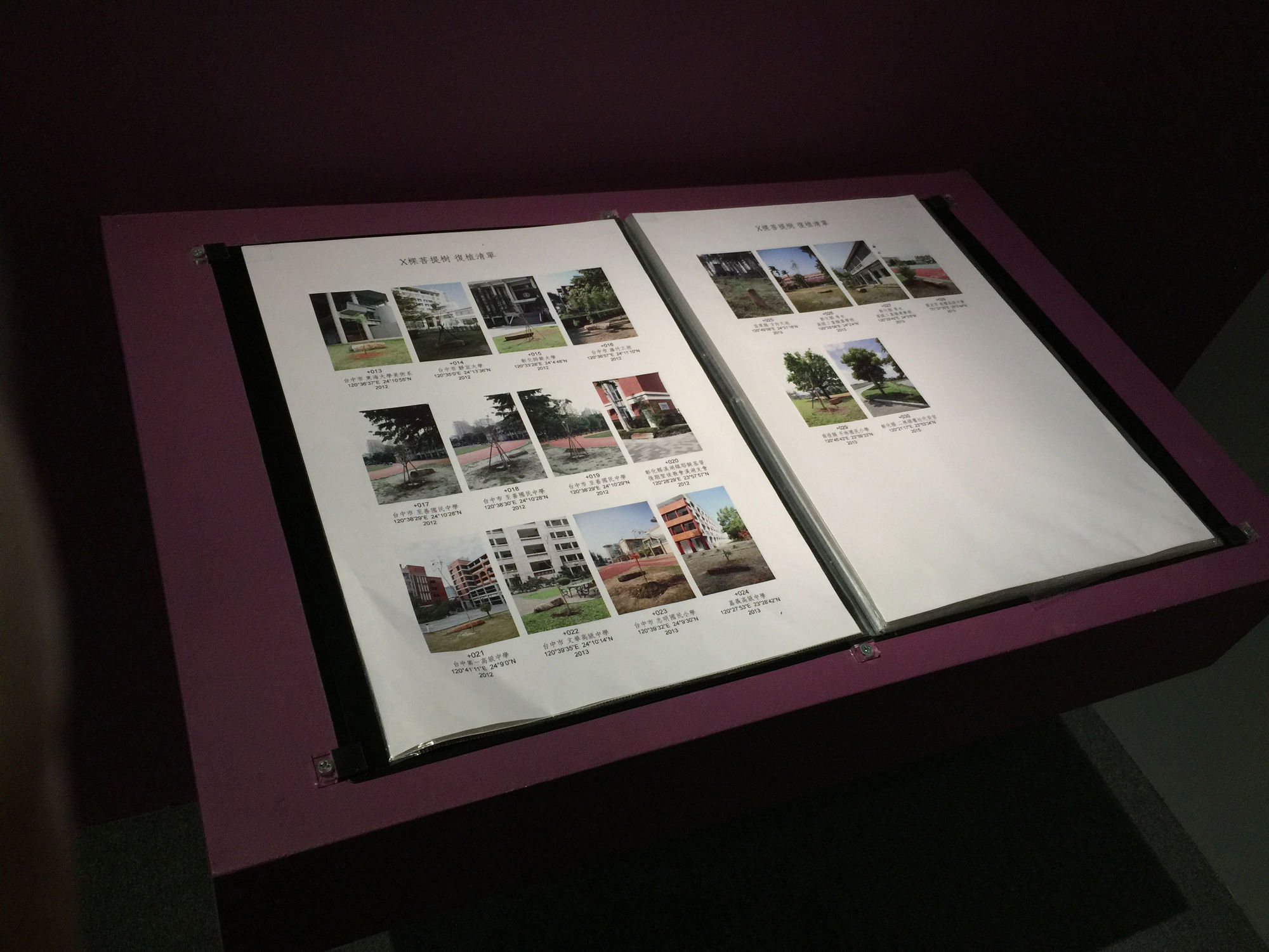 Declaration / Documentation: Taipei Biennial, 1996-2014