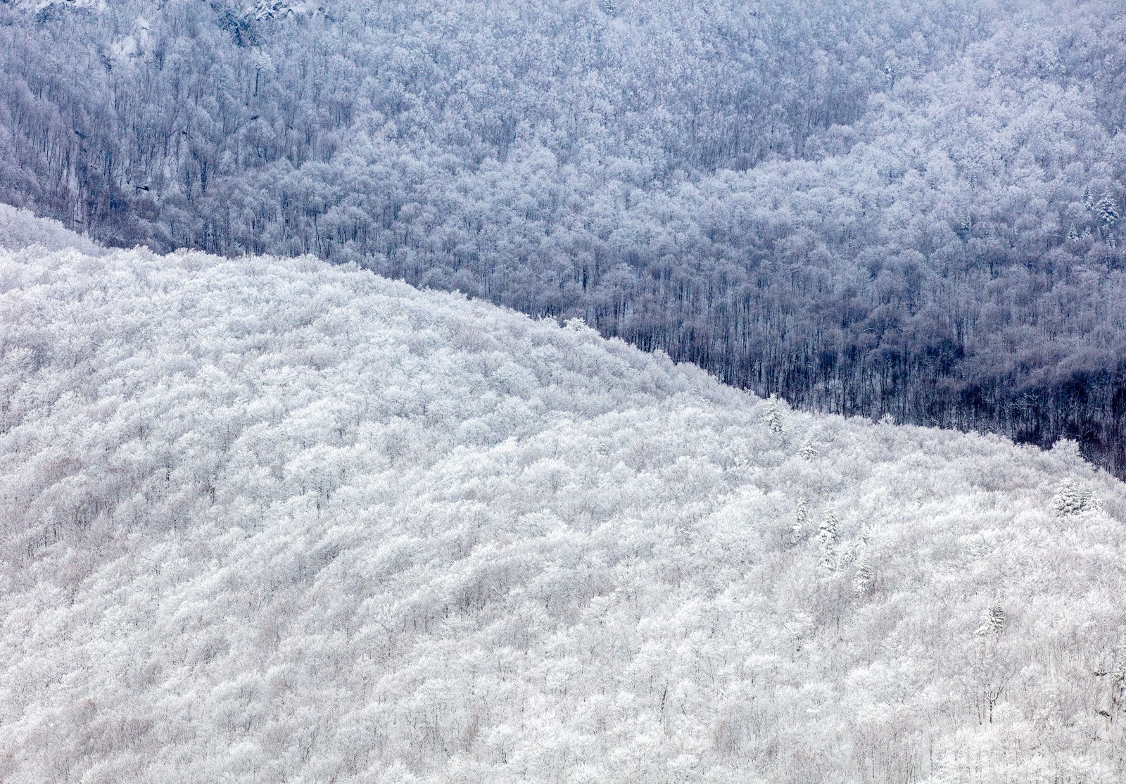 Fraiche neige, Sutton, QC, 2021 24 x 36 in., Ed. 10 40 x 60 in., Ed. 10