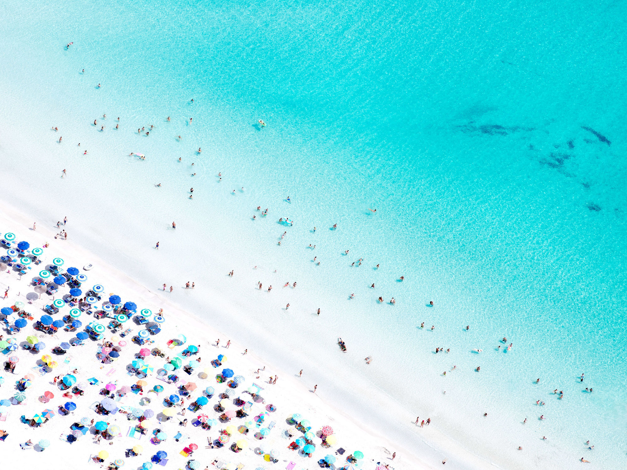 follow the sun, 2024 30 x 40 in., Ed. 7 & 3 AP 43 x 57 in., Ed. 7 & 3 AP 58 x 77 in., Ed. 7 & 3 AP 70 x 93 in., Ed. 4