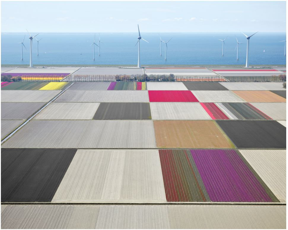 Tulips and Turbines 01, Noordoostpolder, Netherlands, 2016 21 x 26 in., Ed. 7 & 2AP 32 x 40 in., Ed. 7 & 2AP 44 x 55 in., Ed. 10 & 2AP 59 x 73 1/2 in., Ed. 5 & 2AP