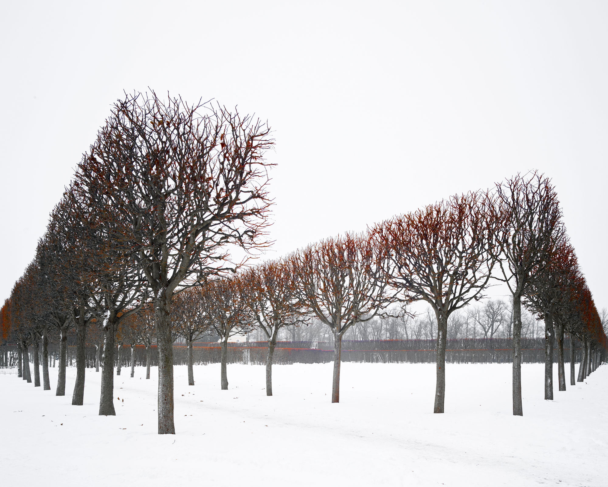 Winter Red, Catherine Palace, Russia, 2015 21 x 26 in., Ed. 7 & 2AP 32 x 40 in., Ed. 7 & 2AP 44 x 55 in., Ed. 10 & 2AP 59 x 73 1/2 in., Ed. 5 & 2AP