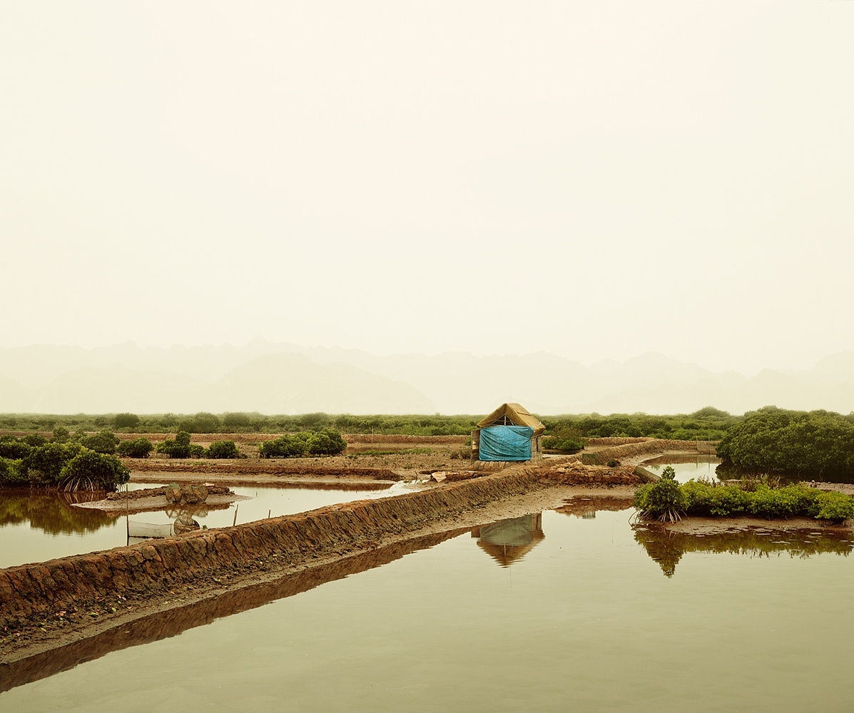 Blue Tarp, Vietnam, 2010 13 x 16 in., Ed. 4 & 2AP 21 x 24 in., Ed. 4 & 2AP 32 x 40 in., Ed. 7 & 2AP 44 x 55 in., Ed. 7 & 2AP