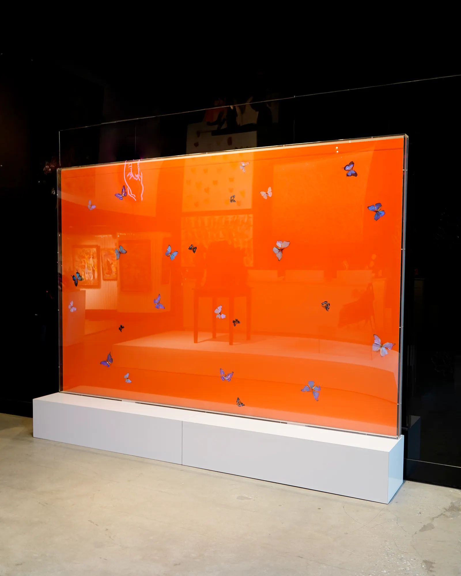 DAMIEN HIRST The Sunshine In You, 2007 Papillons et vernis ménager sur toile / Butterflies and household gloss on canvas 72 x 108 in.