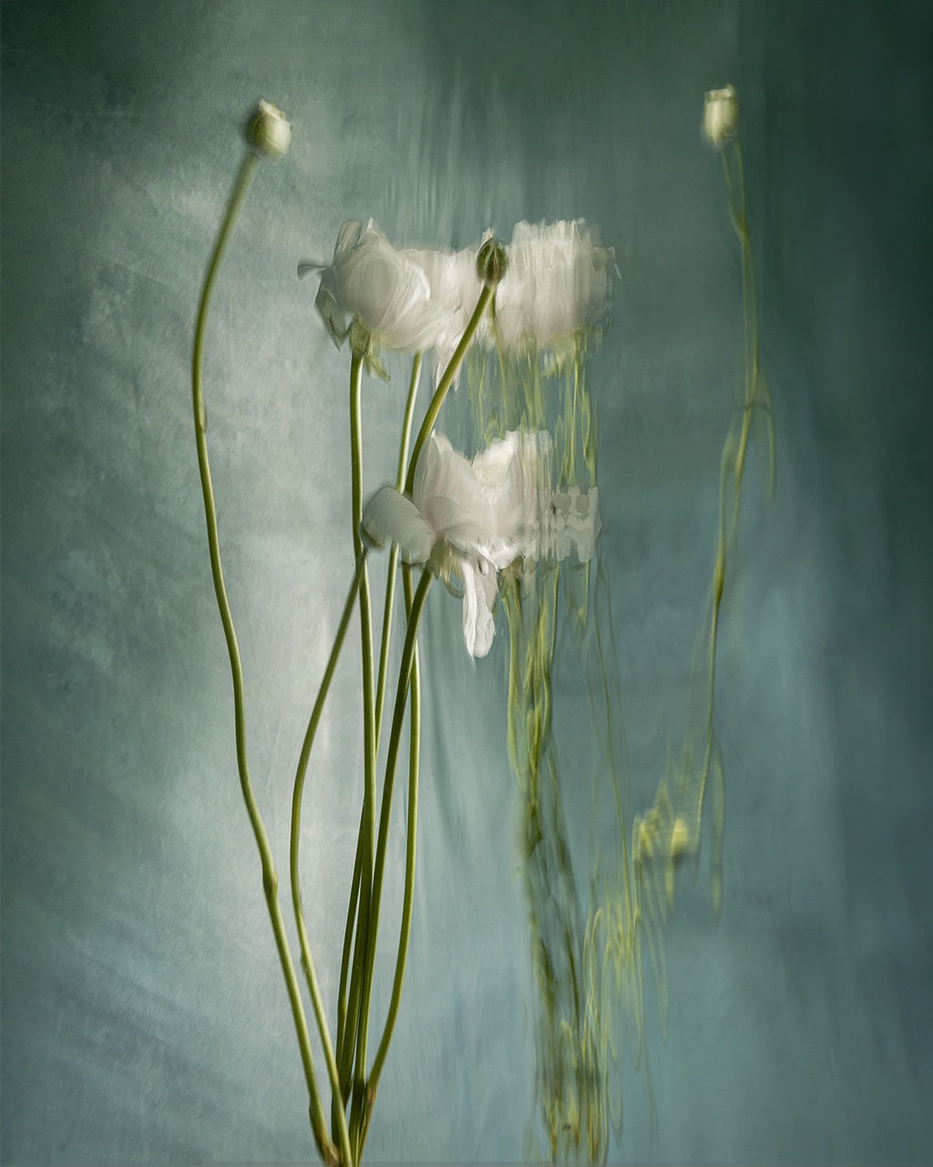 Abigail, 2020 40 x 32 in., Ed. 8 & 2AP 54 x 43 in., Ed. 8 & 2AP 64 x 51 in., Ed. 8 & 2AP