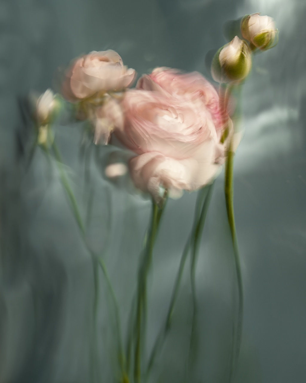 Camille, 2021 40 x 32 in., Ed. 8 & 2AP 54 x 43 in., Ed. 8 & 2AP 64 x 51 in., Ed. 8 & 2AP