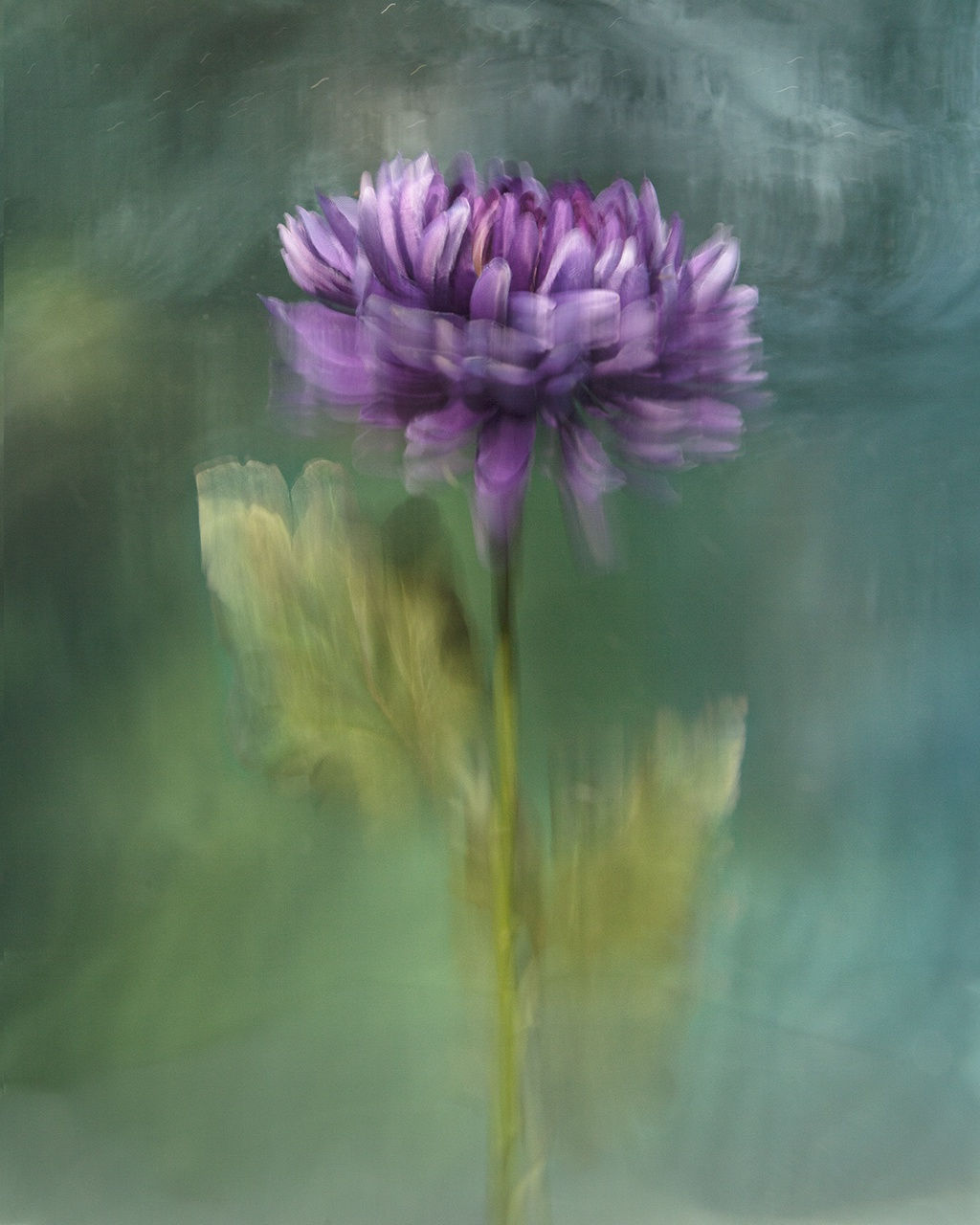 Gertrude, 2020 40 x 32 in., Ed. 8 & 2AP 54 x 43 in., Ed. 8 & 2AP 64 x 51 in., Ed. 8 & 2AP