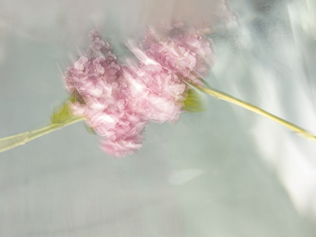 Madeline, 2020 32 x 40 in., Ed. 8 & 2AP 43 x 54 in., Ed. 8 & 2AP 51 x 64 in., Ed. 8 & 2AP