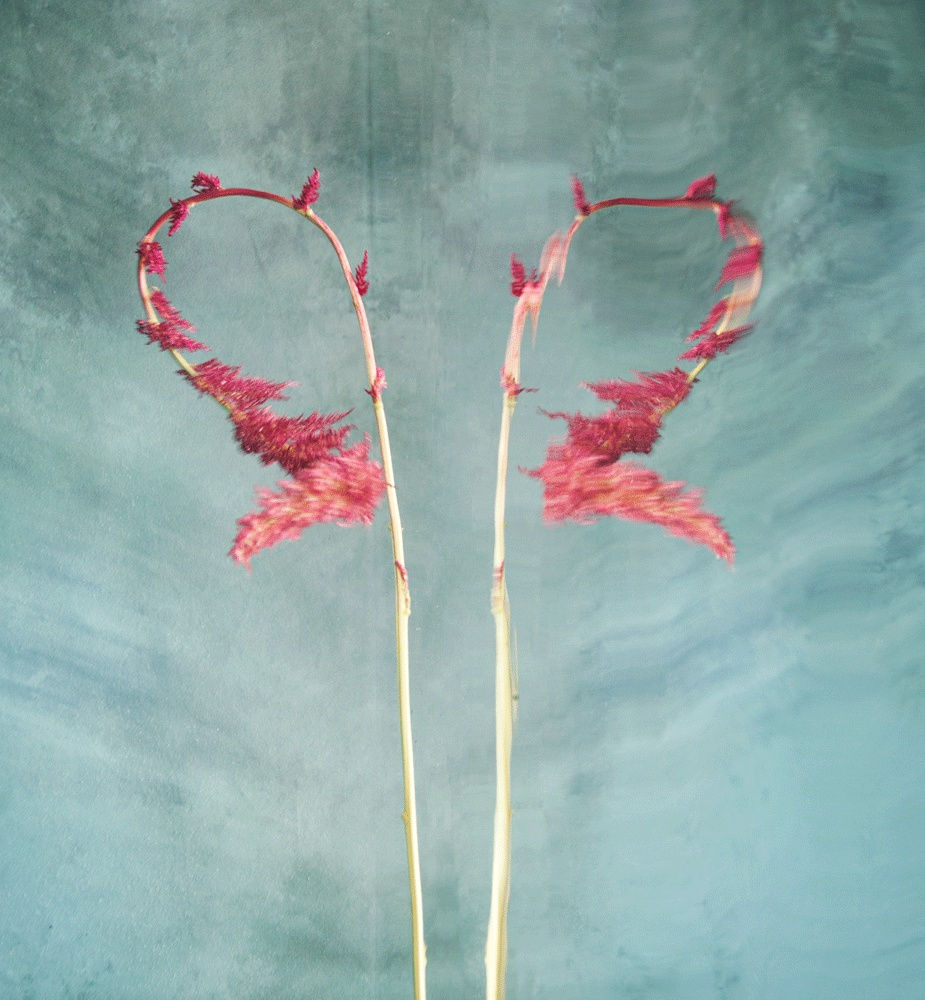 Persephone (Lenticular), 2020 40 x 26 in., Ed. 10 & 2AP