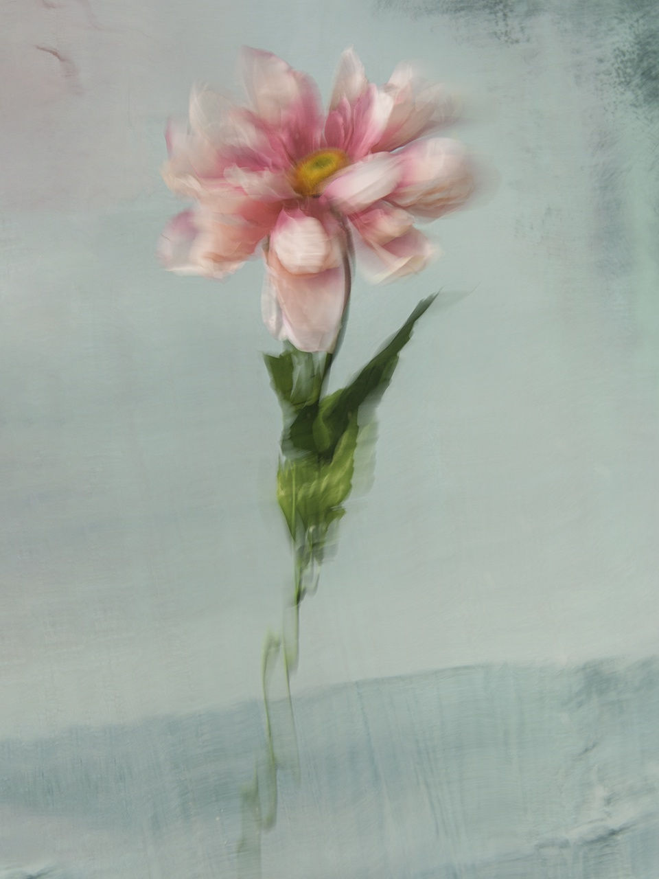 Susannah, 2020 40 x 32 in., Ed. 8 & 2AP 54 x 43 in., Ed. 8 & 2AP 64 x 51 in., Ed. 8 & 2AP