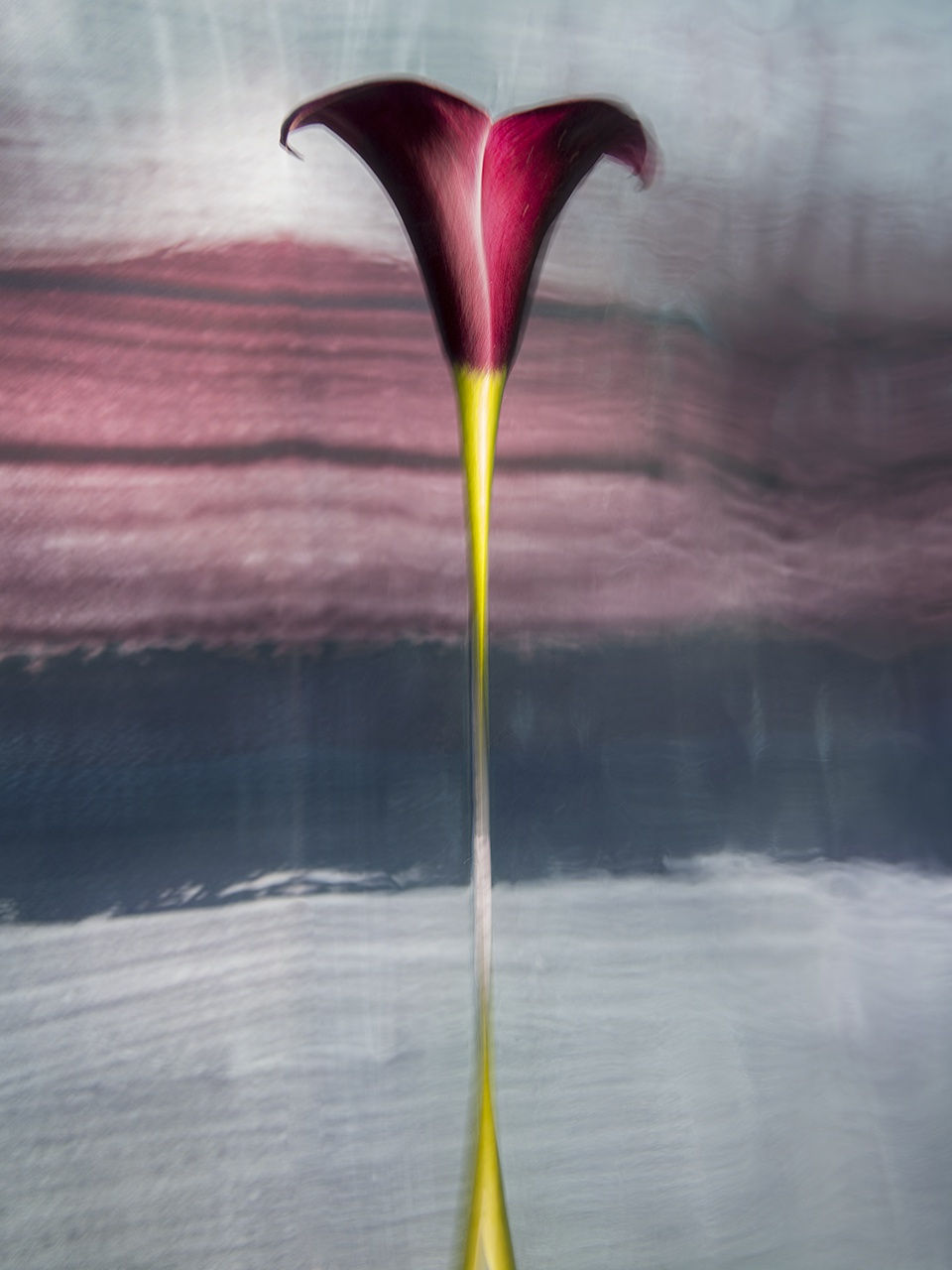 Theodora, 2020 40 x 32 in., Ed. 8 & 2AP 54 x 43 in., Ed. 8 & 2AP 64 x 51 in., Ed. 8 & 2AP