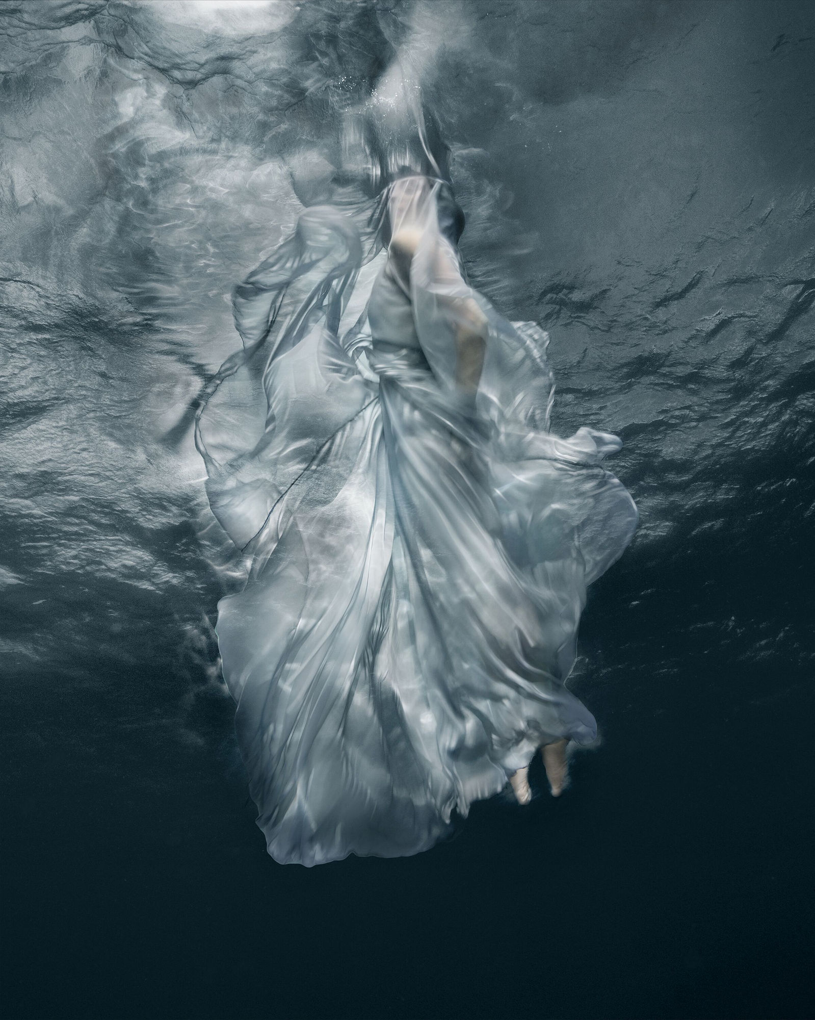 Disguise, 2019 40 x 32 in., Ed. 7 & 2AP 54 x 43 in., Ed. 5 & 2AP 64 x 51 in., Ed. 5 & 2AP 75 x 60 in., Ed. 3 & 2AP