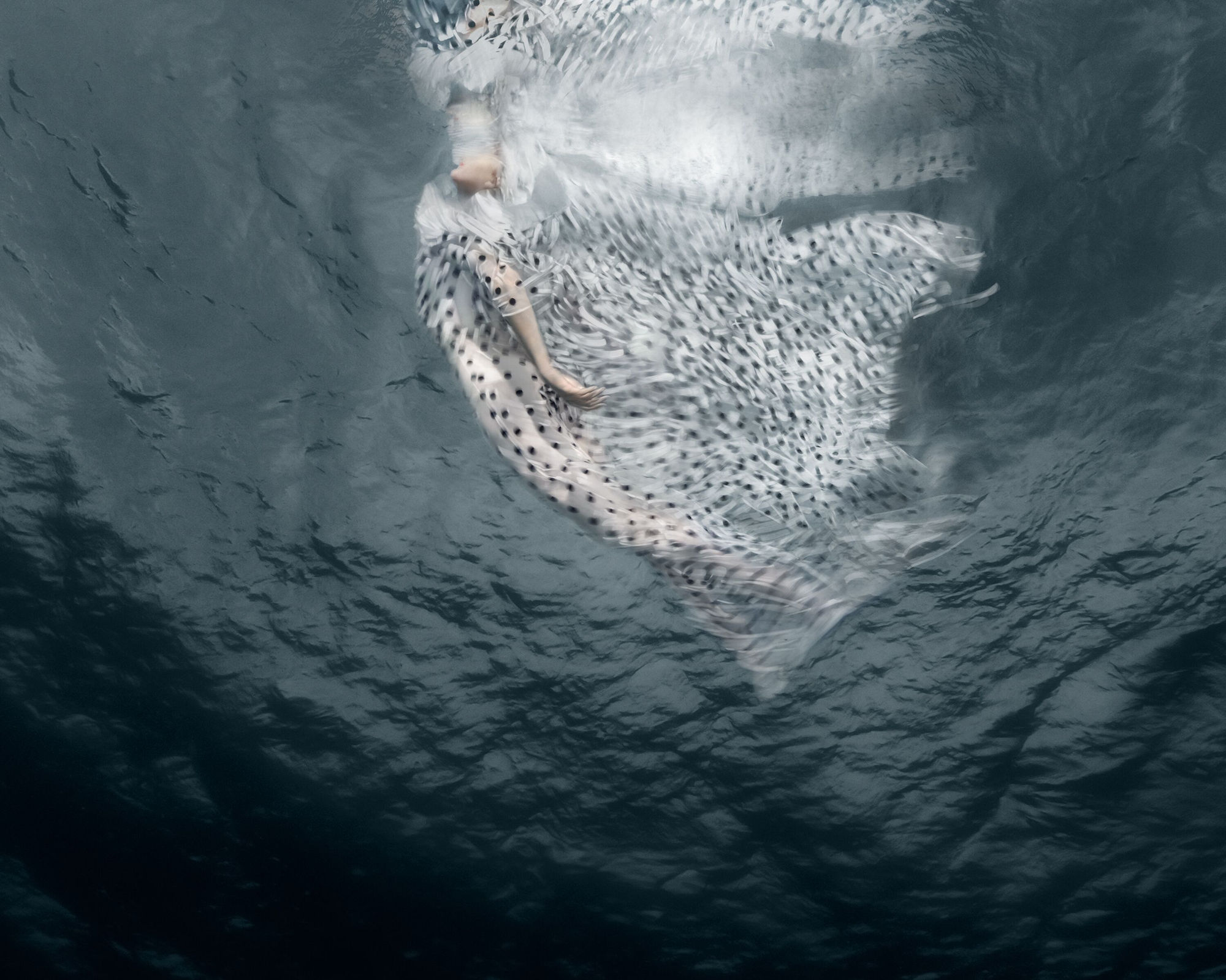 Exposure, 2019 32 x 40 in., Ed. 7 & 2AP 43 x 54 in., Ed. 5 & 2AP 51 x 64 in., Ed. 5 & 2AP 60 x 75 in., Ed. 3 & 2AP