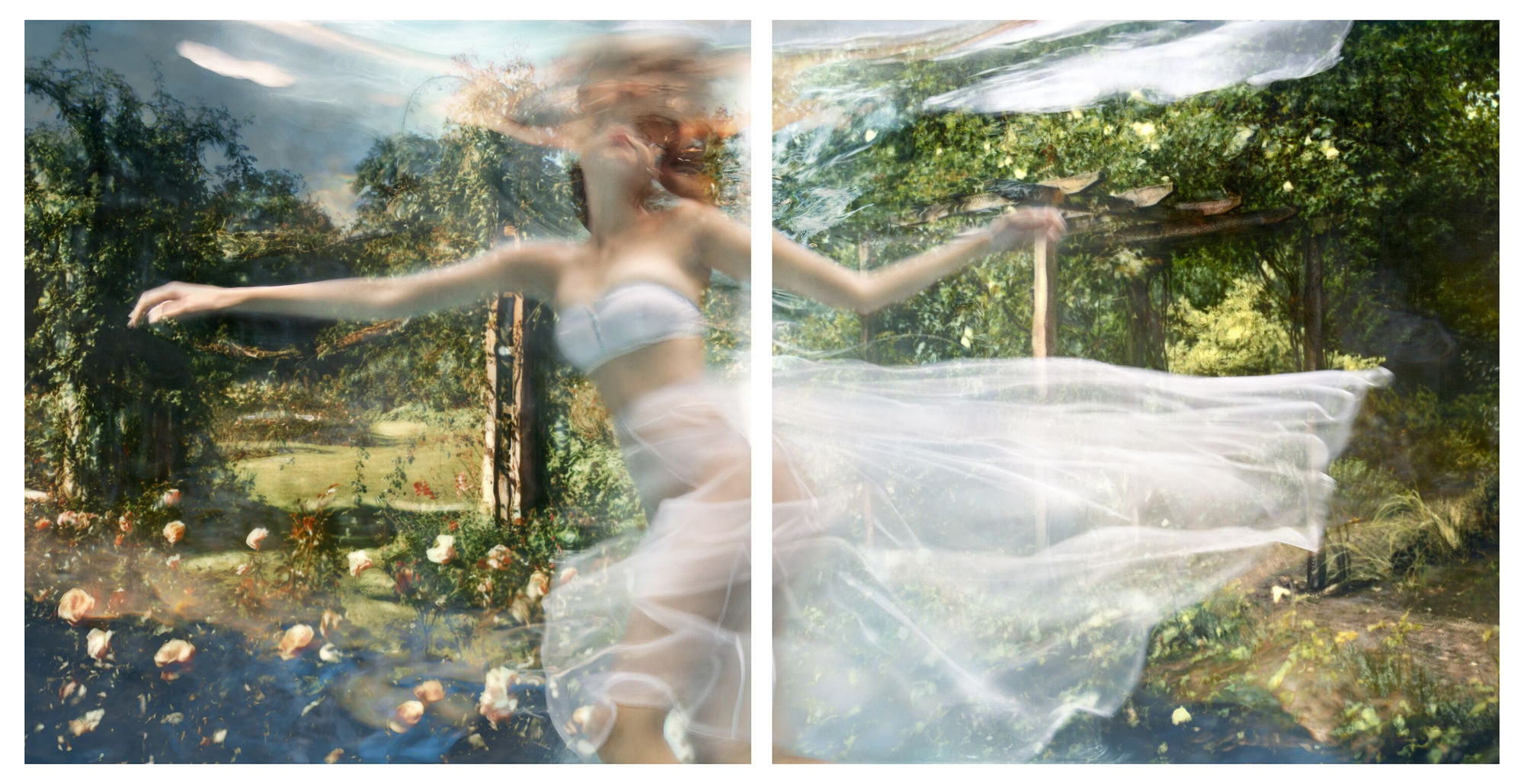 Battersea Garden (Diptych), 2016 40 x 80 in., Ed. 20 & 2AP