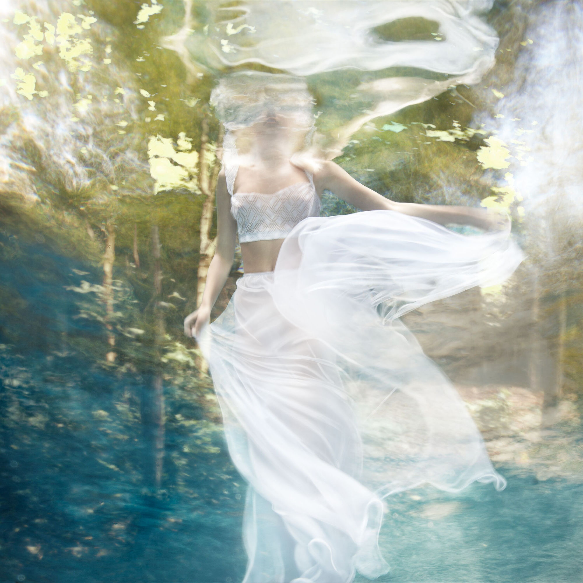 Chiswick House Forest, 2016 48 x 48 in., Ed. 10 & 2AP 60 x 60 in., Ed. 10 & 2AP