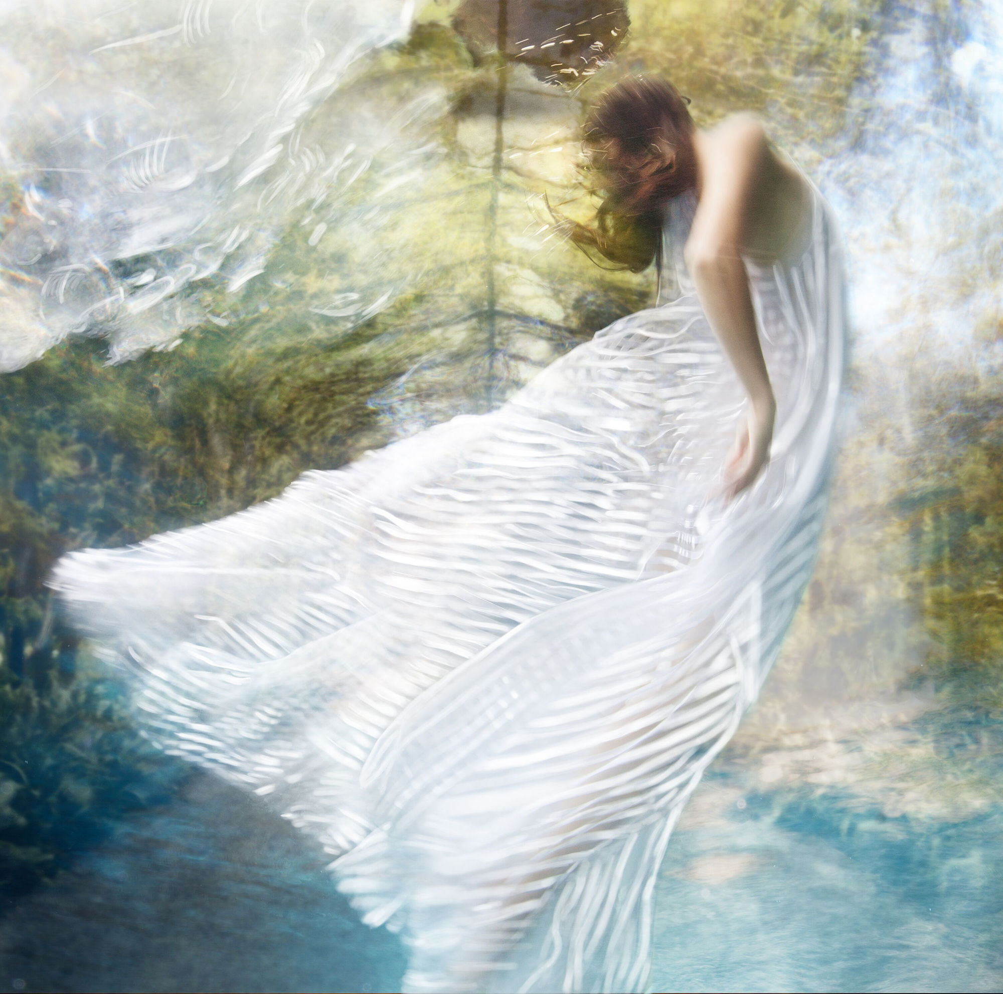 Palace Gardens, 2016 48 x 48 in., Ed. 10 & 2AP 60 x 60 in., Ed. 10 & 2AP