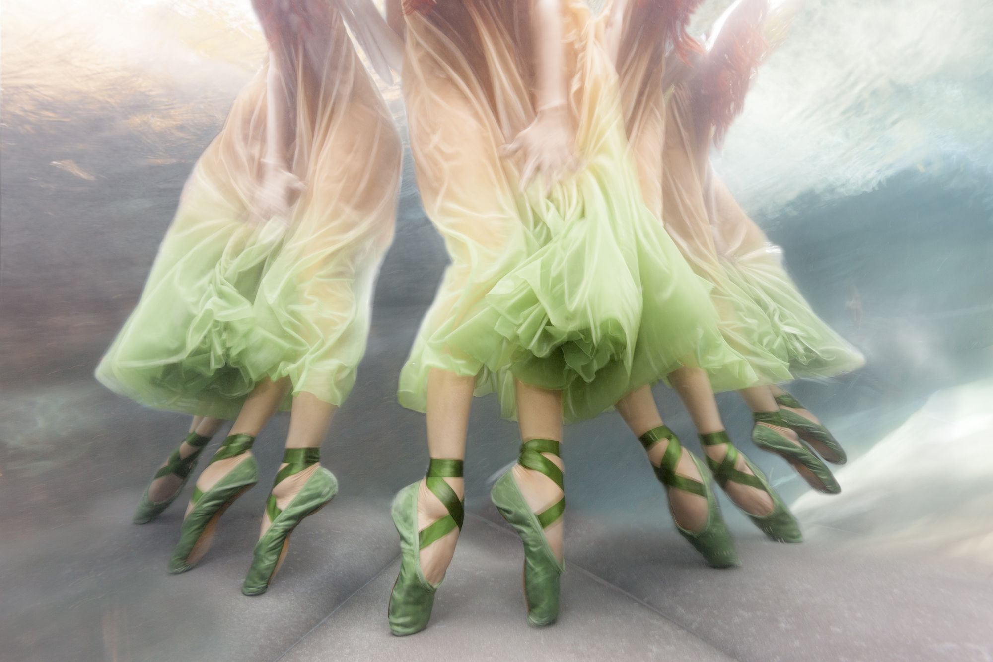 The Rose, 2016 26 x 40 in., Ed. 7 & 2AP 36 x 54 in., Ed. 5 & 2AP 44 x 66 in., Ed. 5 & 2AP 53 x 80 in., Ed. 3 & 2AP