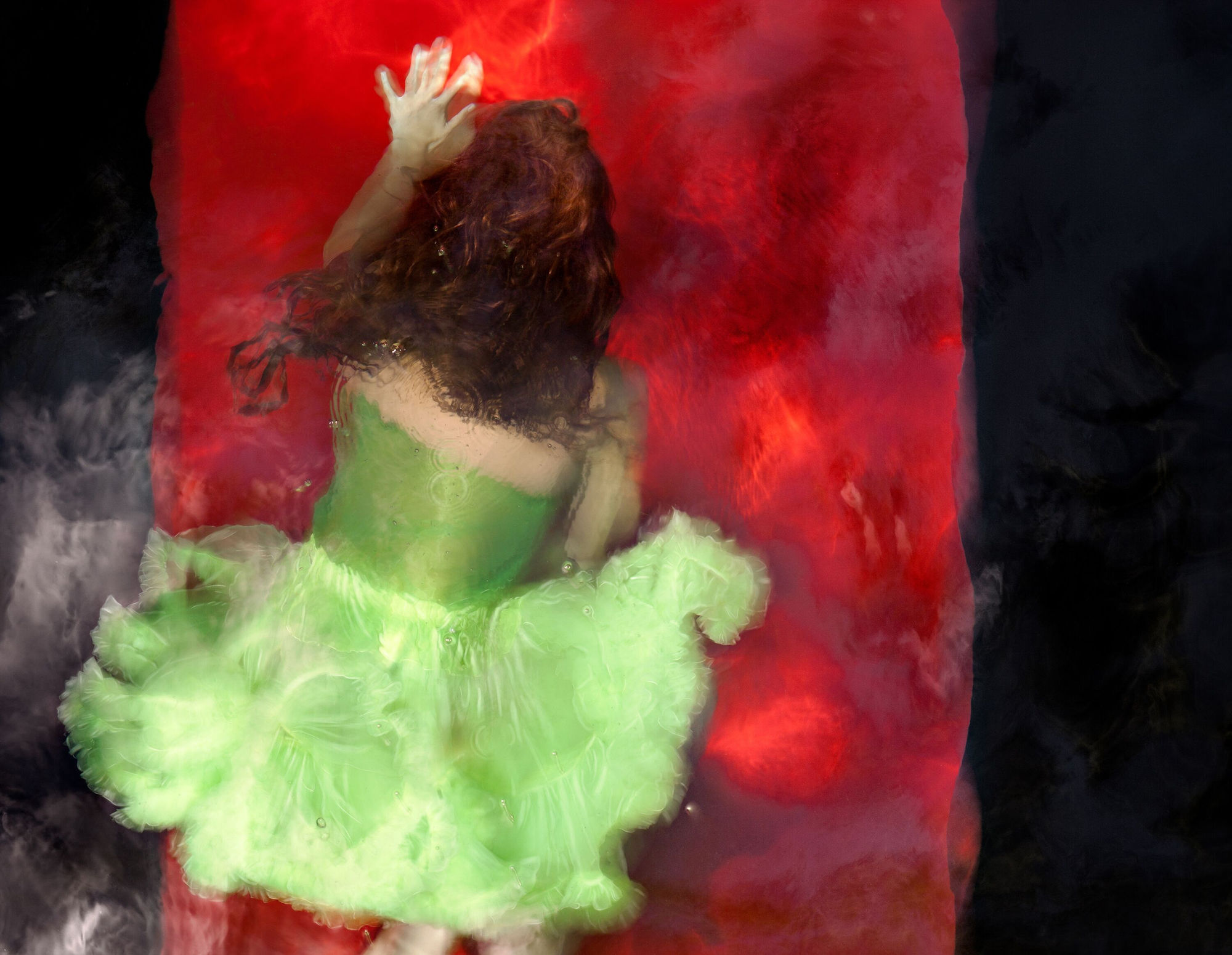 Chartreuse on Red Field II, 2010 30 x 40 in., Ed. 7 & 2AP 40 x 54 in., Ed 5 & 2AP 48 x 64 in., Ed. 5 & 2AP 60 x 80 in., Ed. 3 & 2AP