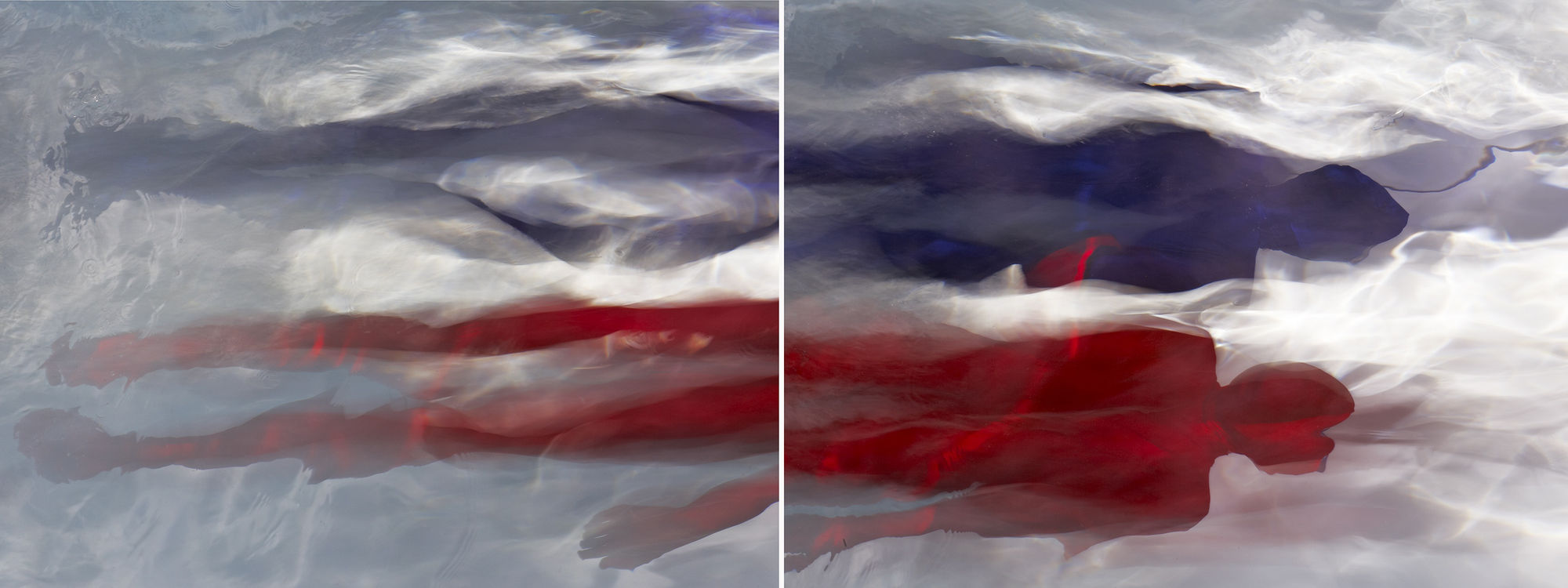 Chromosomes (Diptych), 2010 30 x 80 in., Ed. 7 & 2AP 40 x 108 in., Ed. 5 & 2AP