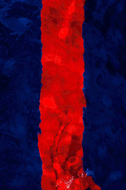 Playing with Fire (Lenticular), 2010 40 x 30 in., Ed. 7 & 2AP 67 x 45 in., Ed. 5 & 2AP