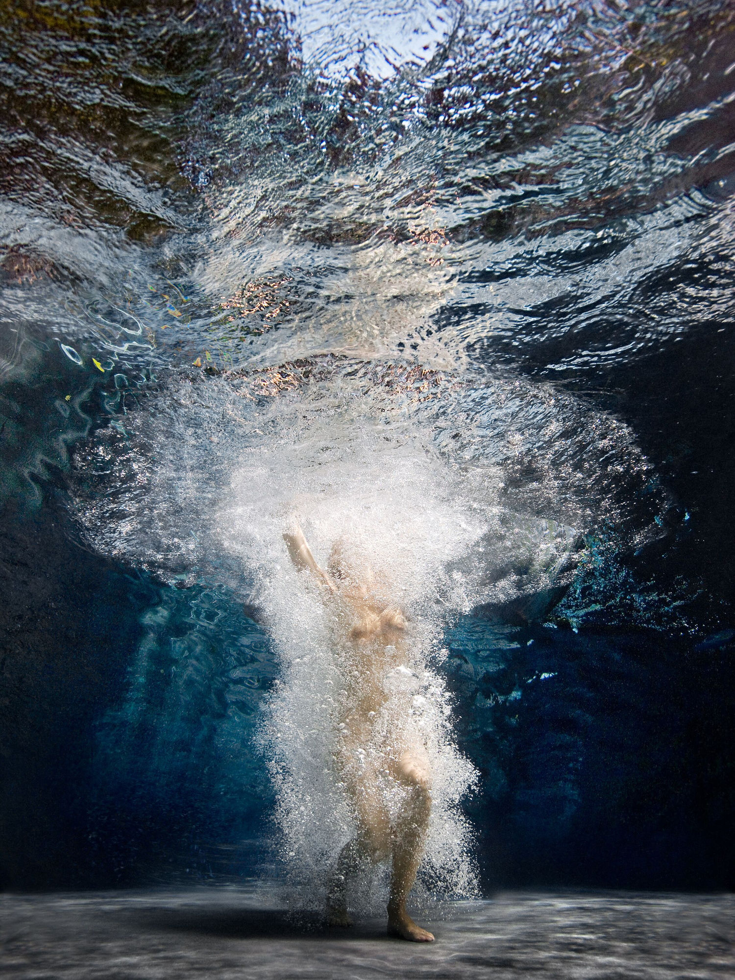 Embellishment, 2008 40 x 30 in., Ed. 2AP 54 x 40 in., Ed 2AP 64 x 48 in., Ed. 2AP 80 x 60 in., Ed. 2AP