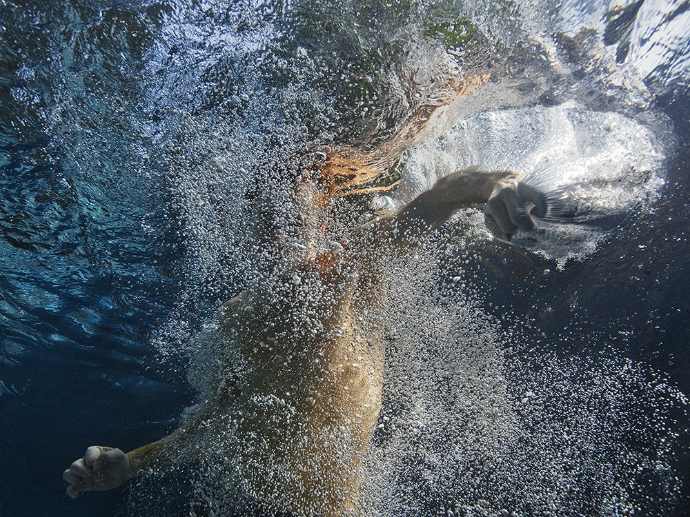 Vibration, 2008 30 x 40 in., Ed. 7 & 2AP 40 x 54 in., Ed 5 & 2AP 48 x 64 in., Ed. 5 & 2AP 60 x 80 in., Ed. 3 & 2AP