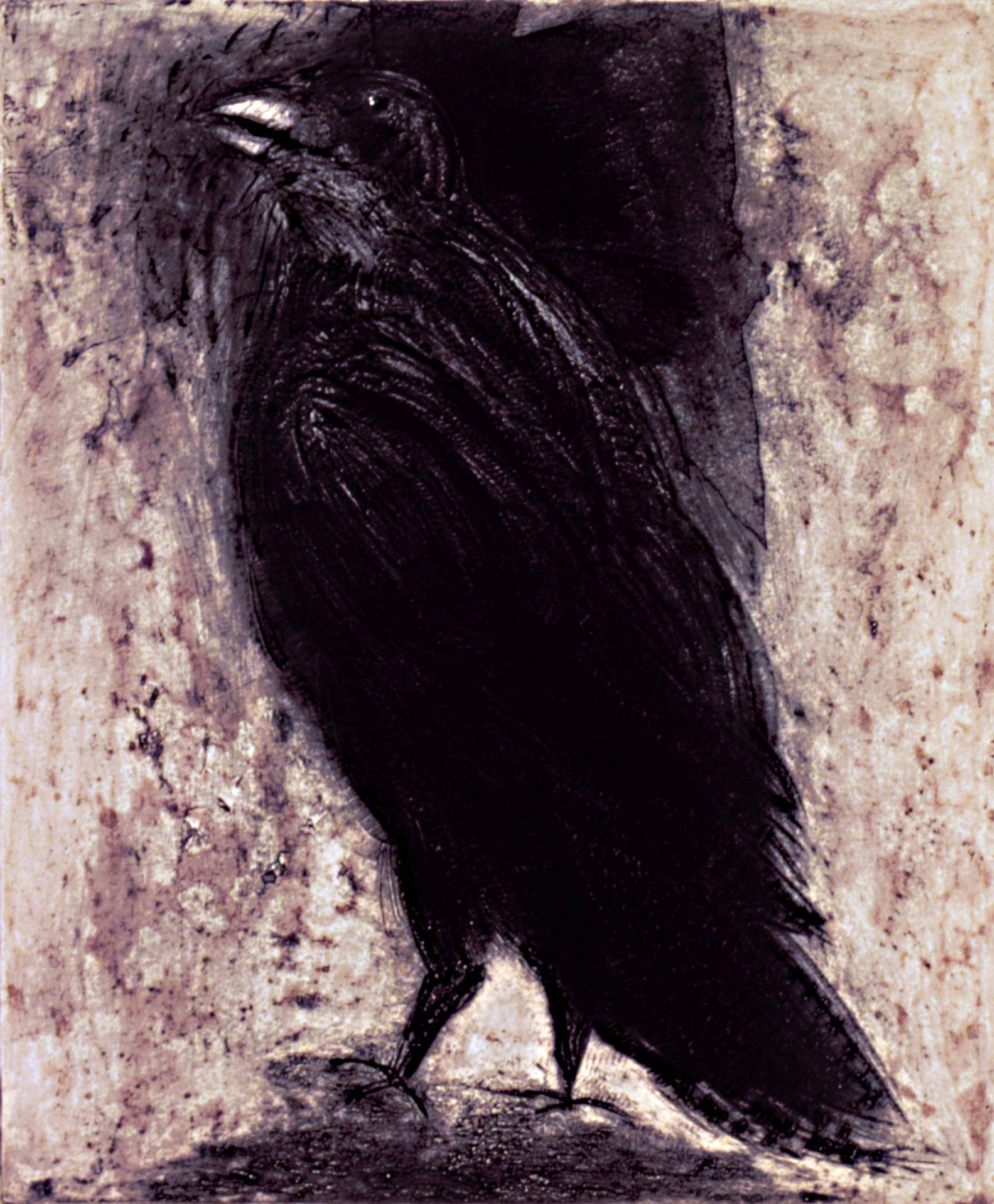 Raven on White Paper, 1994 53 5/8 x 42 1/2 in., Ed. 15