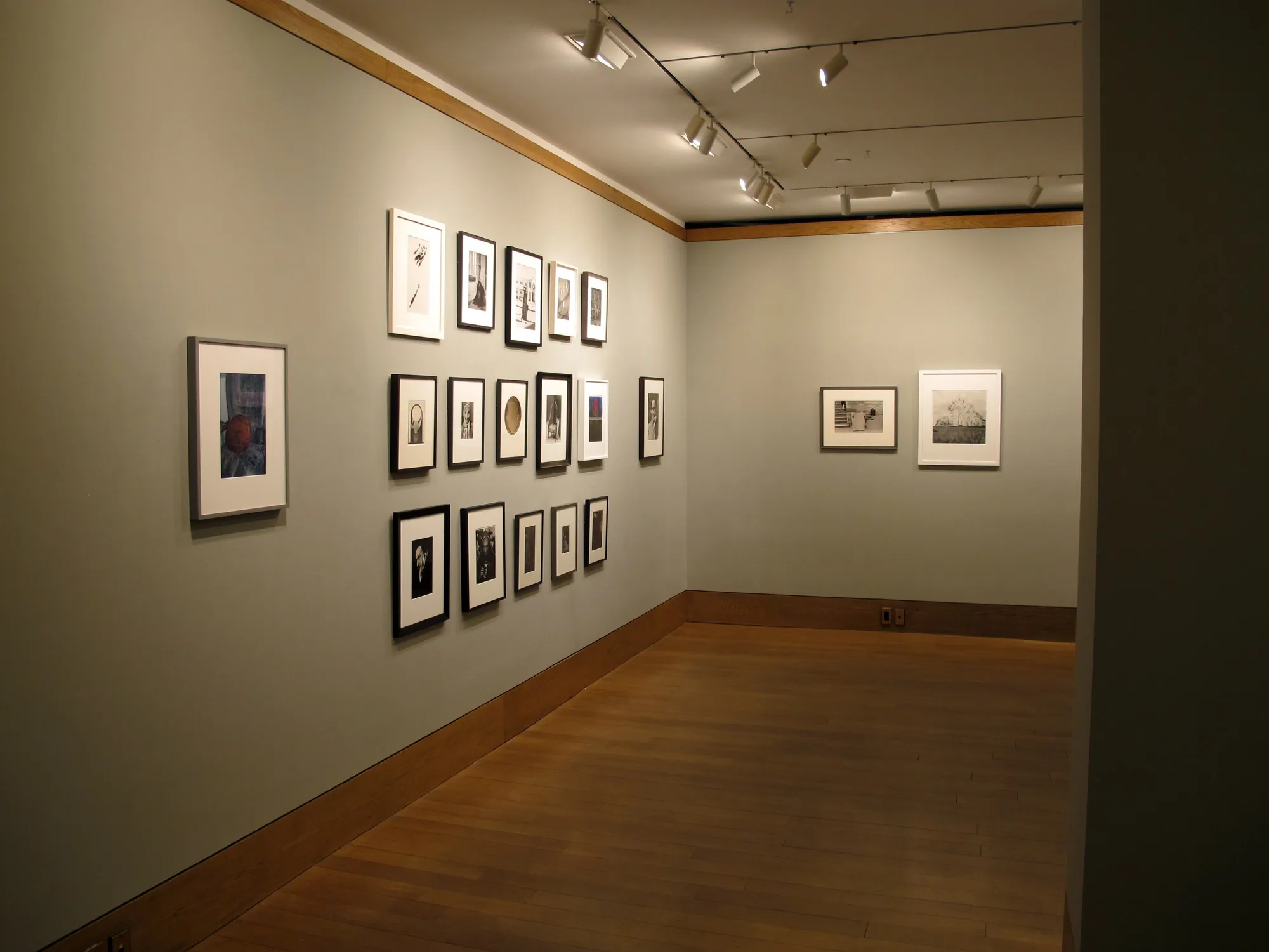 A Democracy of Imagery