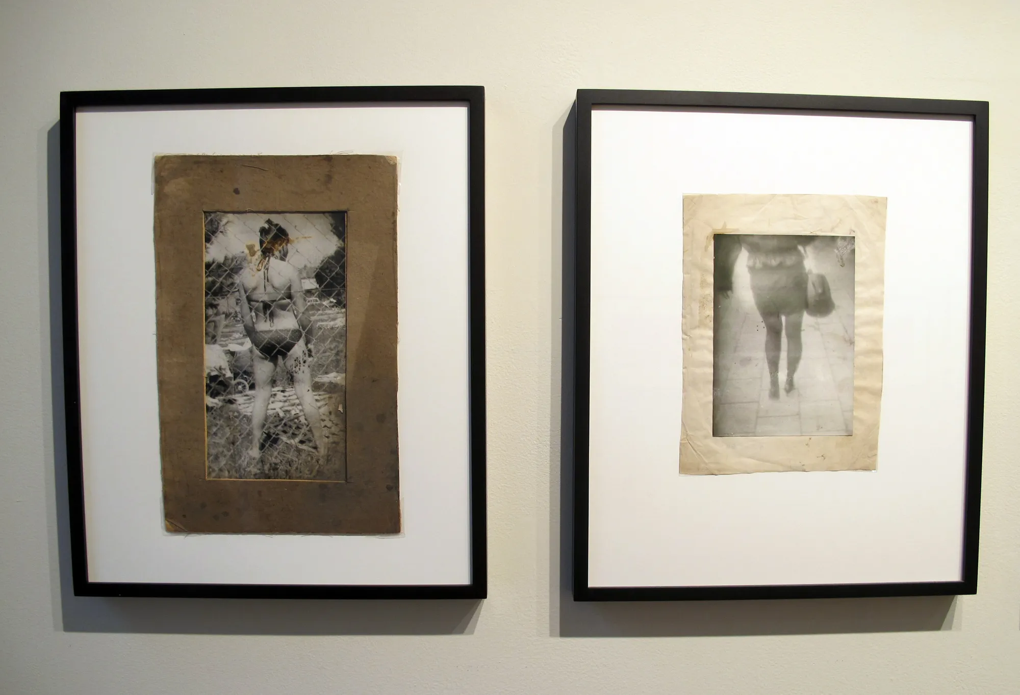 A Democracy of Imagery