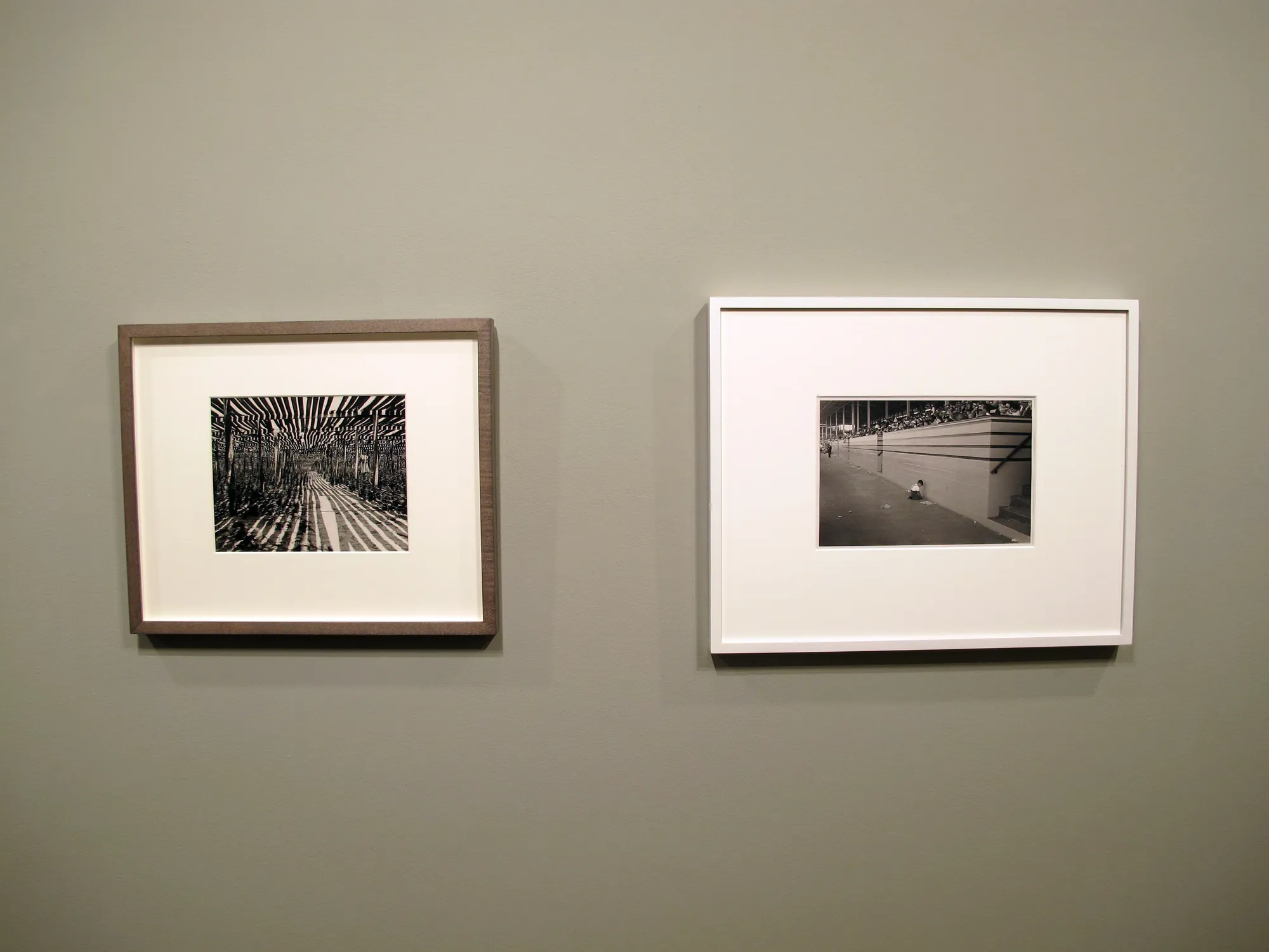 A Democracy of Imagery