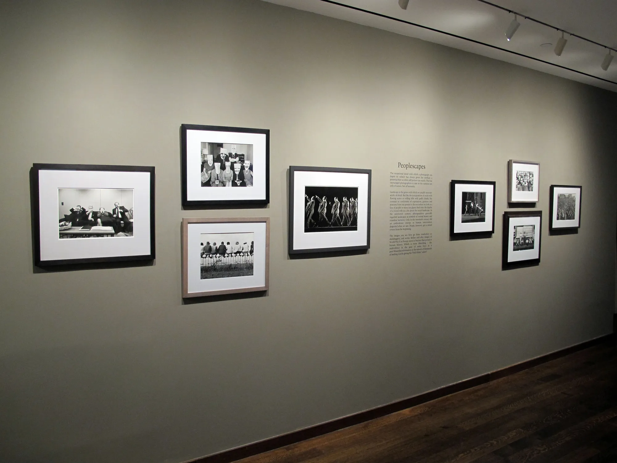 A Democracy of Imagery