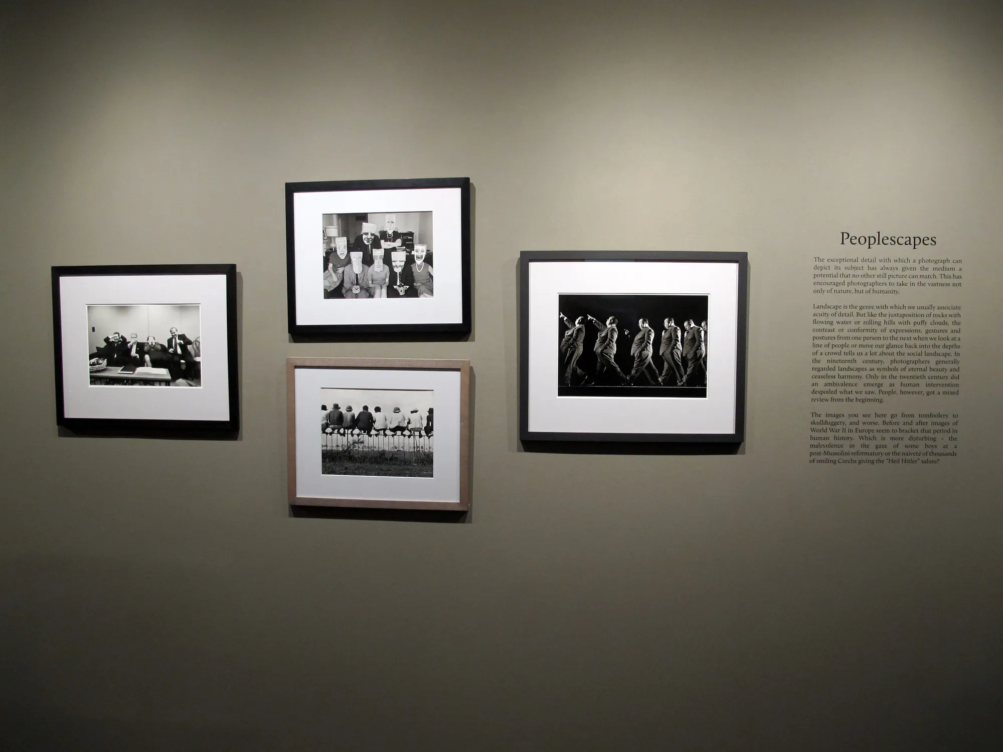 A Democracy of Imagery