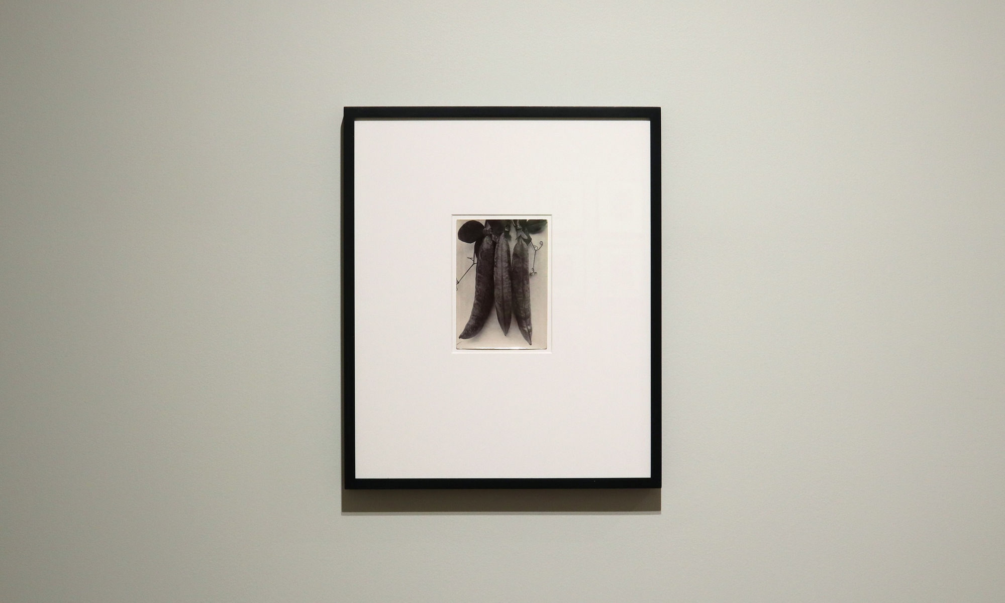 A Response to Wonder