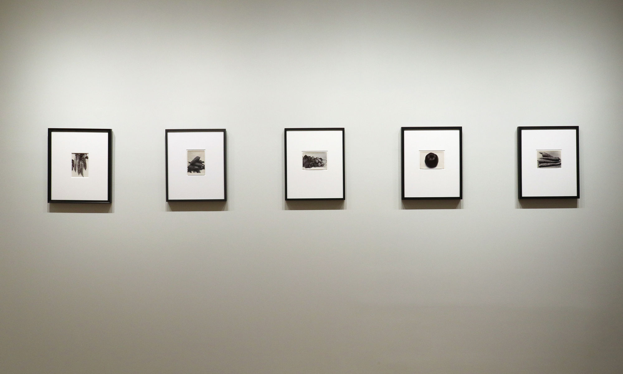 A Response to Wonder