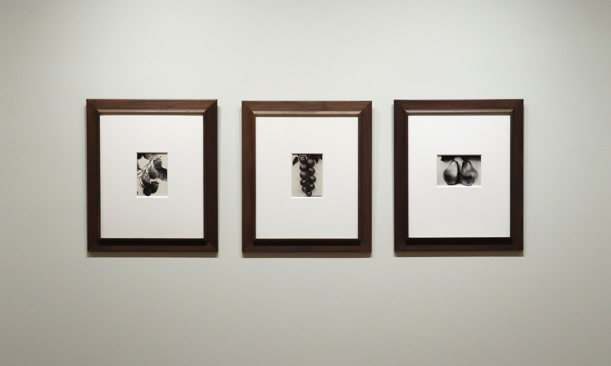 A Response to Wonder