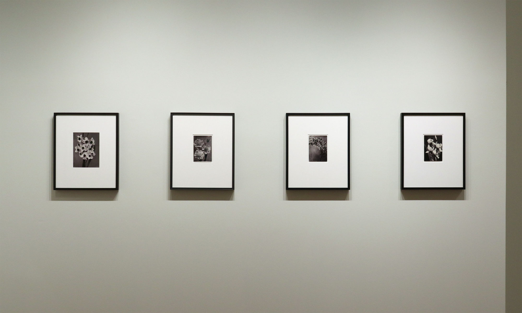 A Response to Wonder