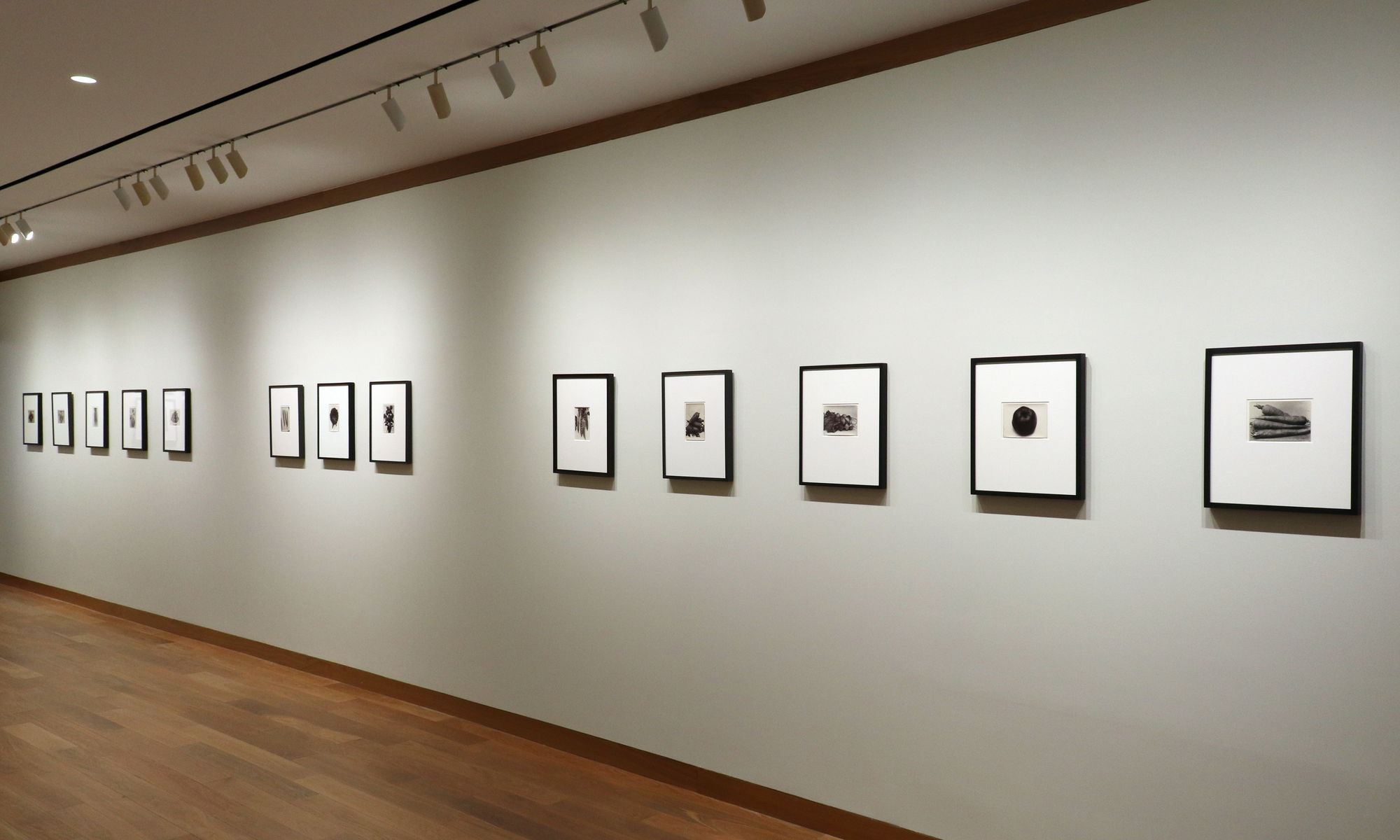 A Response to Wonder