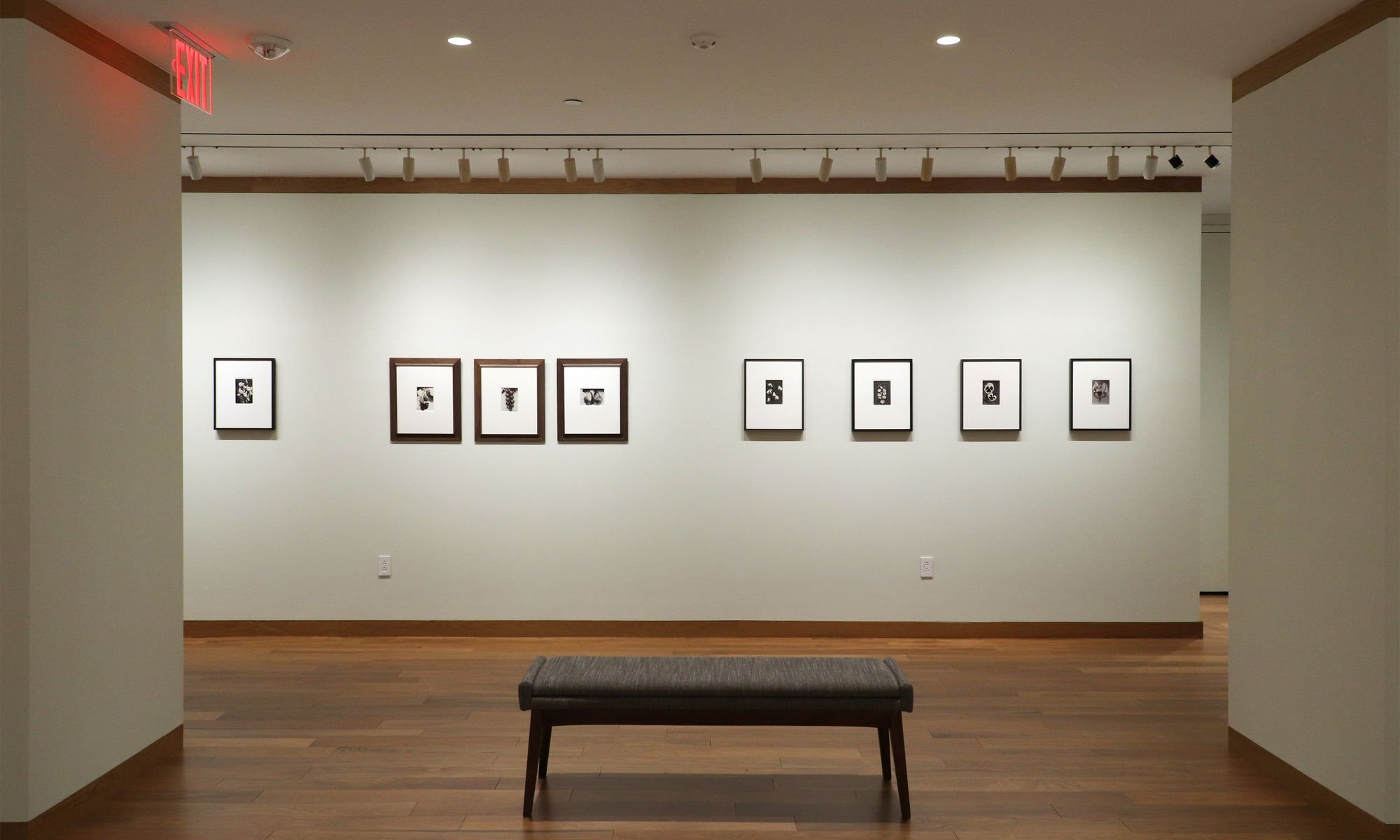 A Response to Wonder