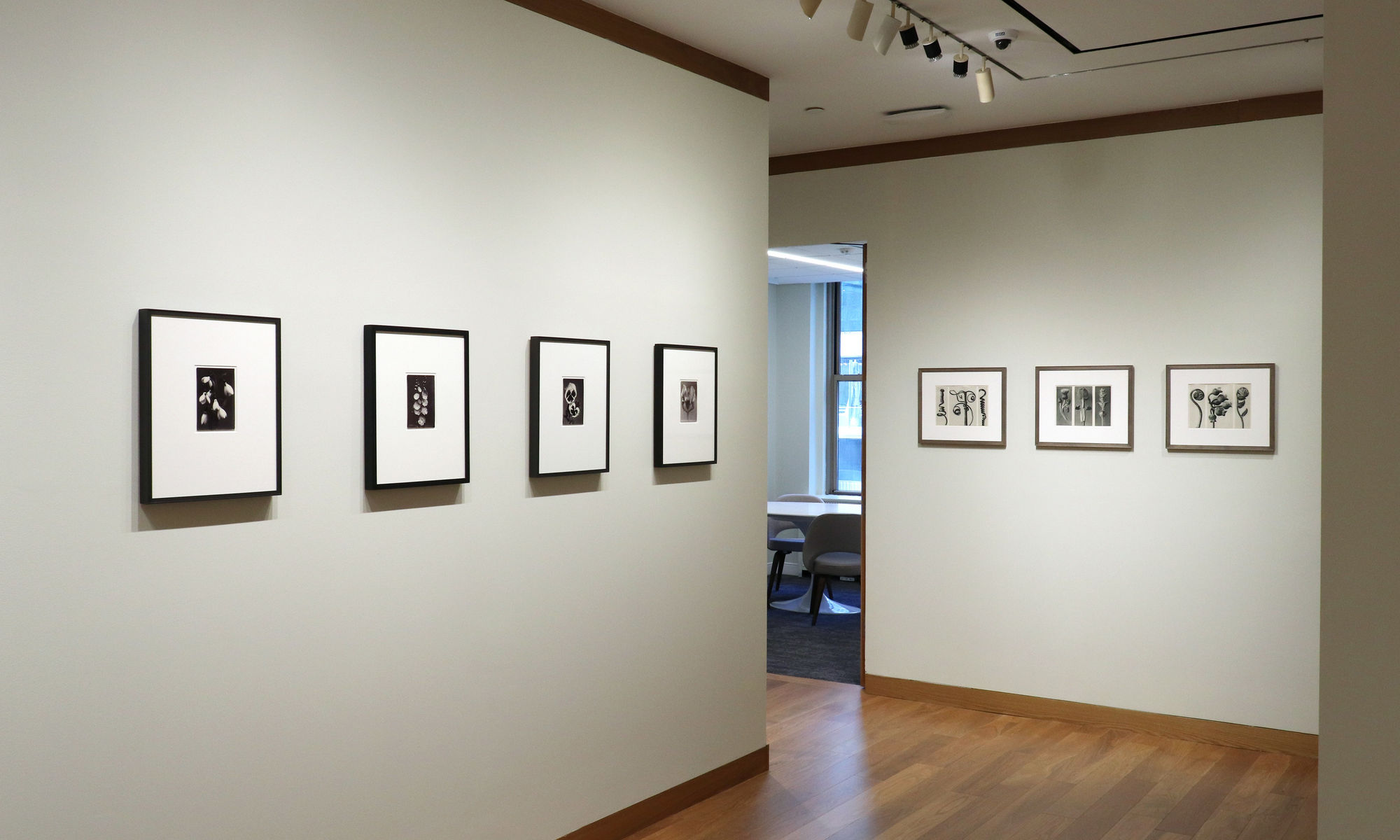 A Response to Wonder